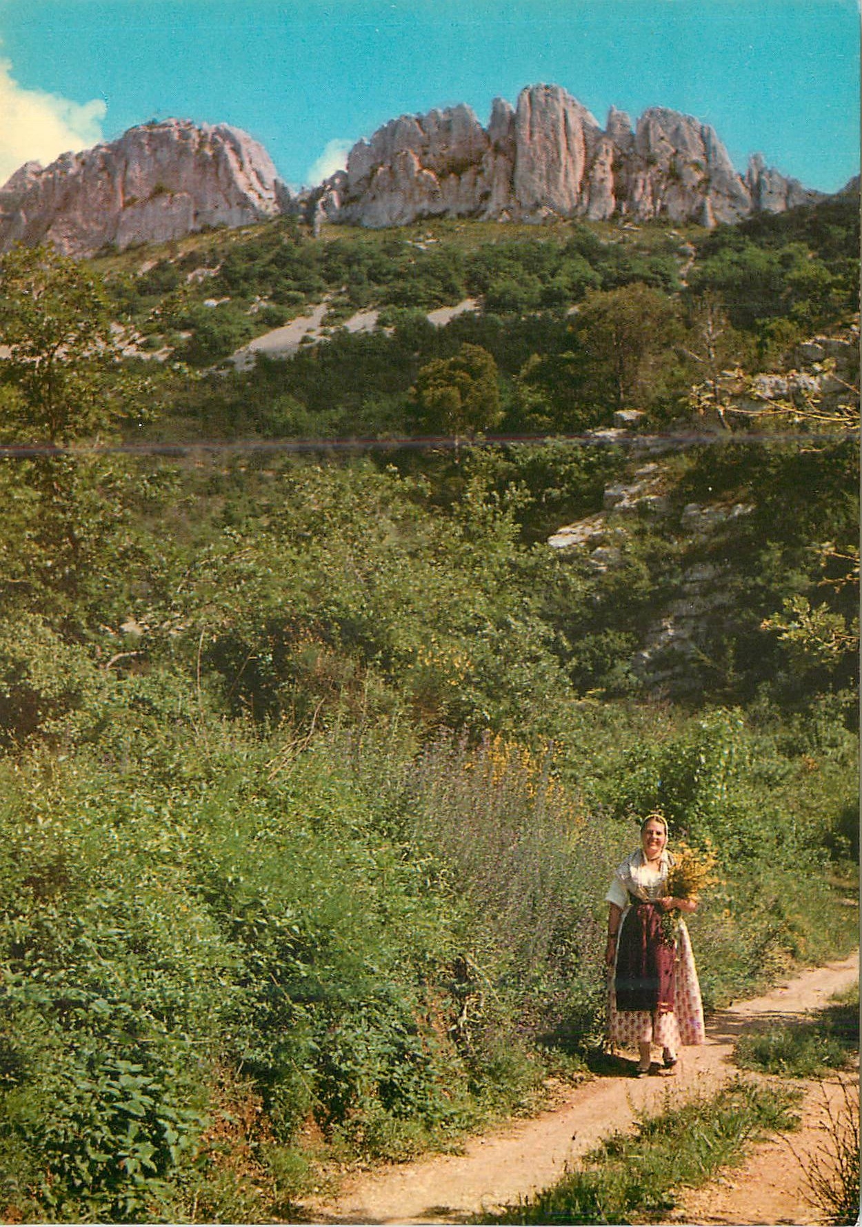 CPM Les Belles Images du Comtat Les Dentelles de Montmirail