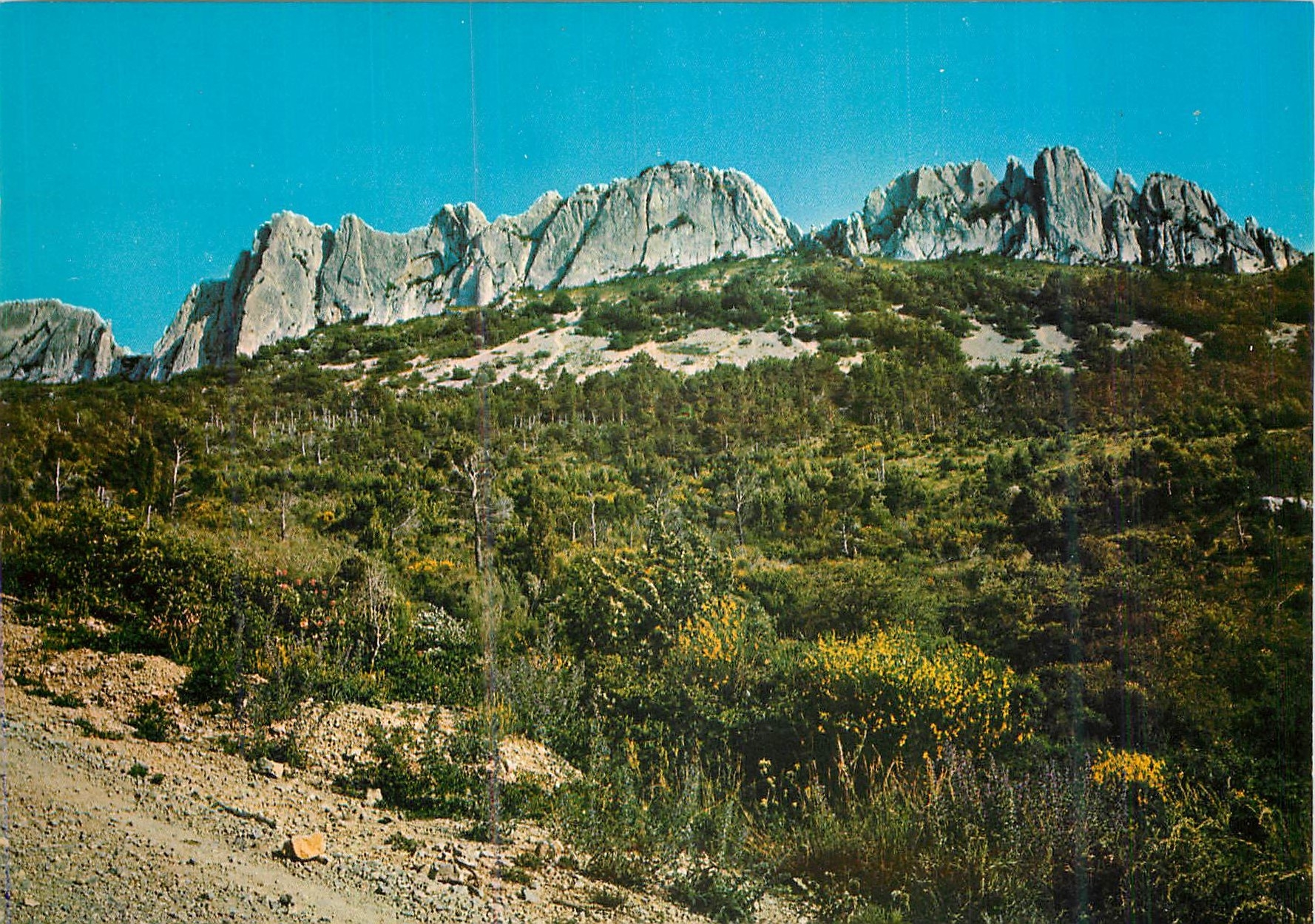 CPM Les Belles Images de Provence Les Dentelles de Montmirail (Vaucluse)