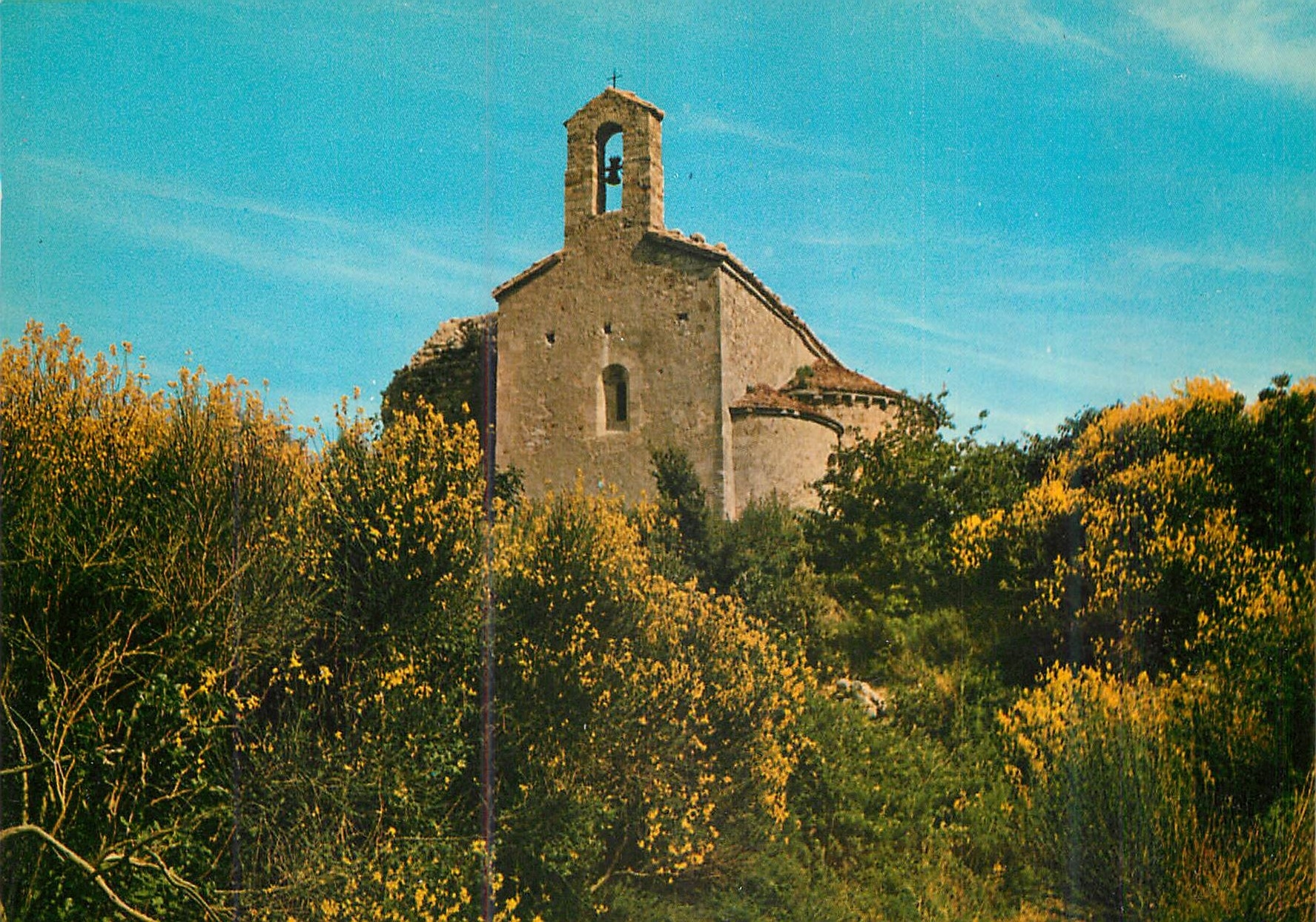 CPM Les Belles Images de Provence Chapelle Saint Come (XIe et XIIe siecles) Chapelle Provencale et ses Genets en fleurs