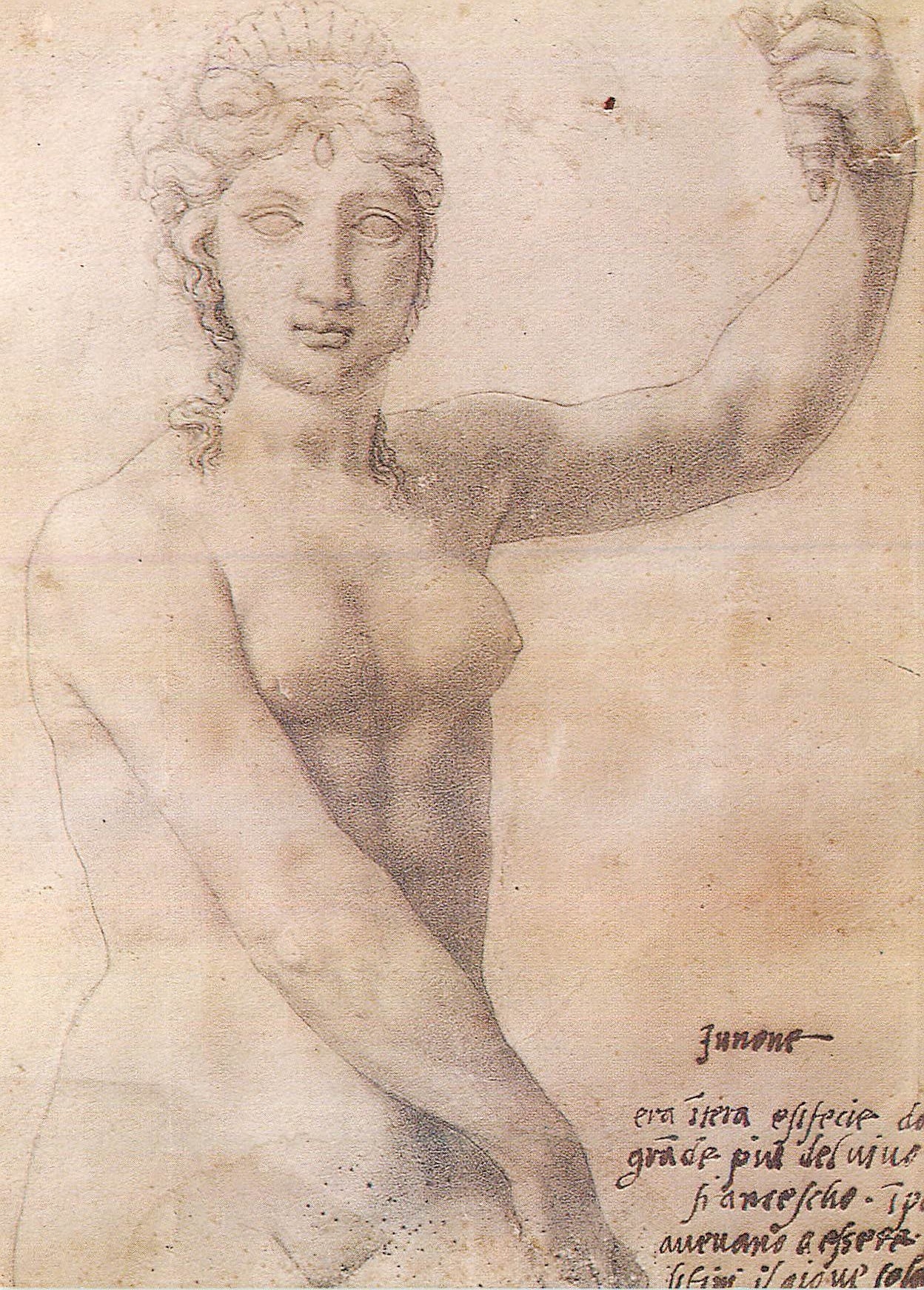 CPM Paris Musee du Louvre Cabinet des Dessins Benvenuto Cellini (1500 1571) Junon (dessin a la pierre noire)