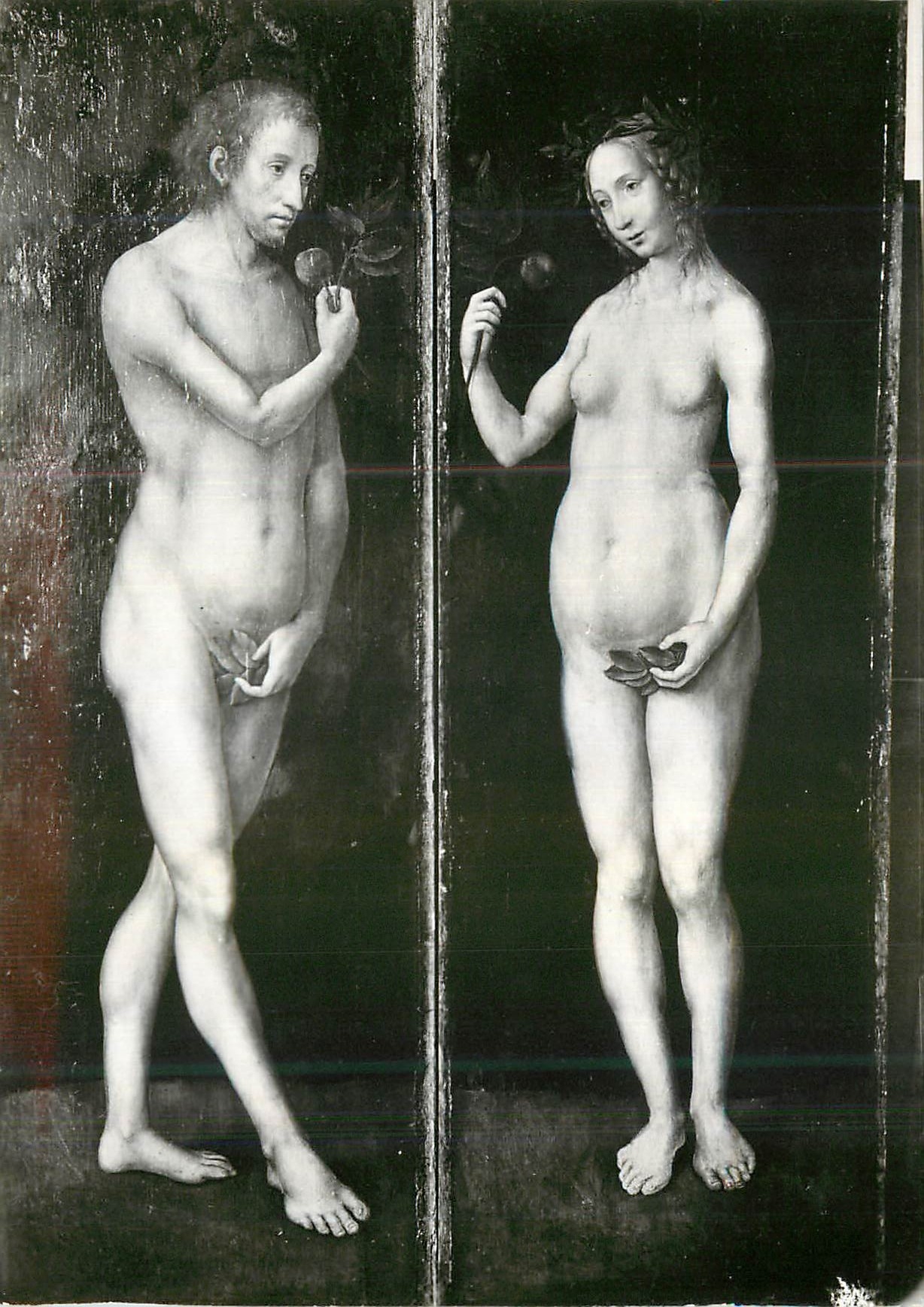CPM Musee de Cognac Lucas Cranach Adam et Eve