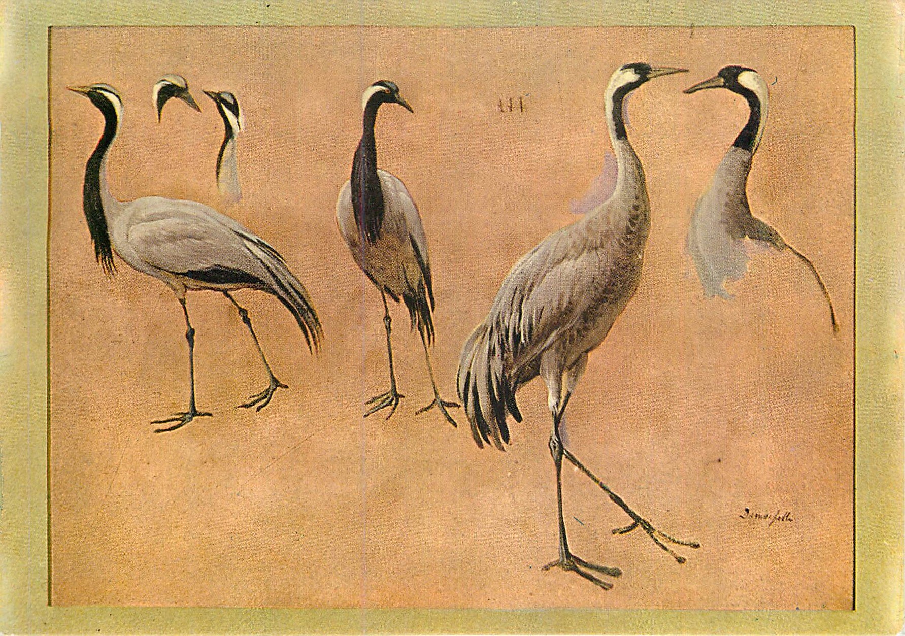 CPM Musee de la Chasse et de la Nature Hotel de Guenegaud (Construit par Fracois Mansart vers 1654) Francois Desportes (