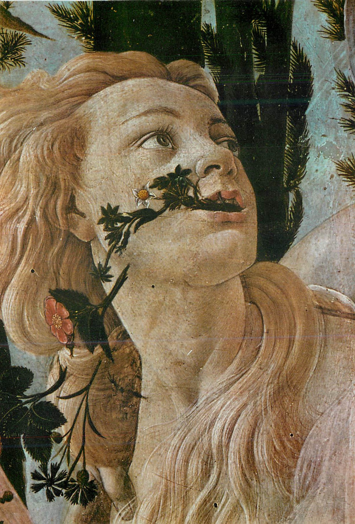 CPM Firenze Gallerie Ullizi Le Printemps (detail)