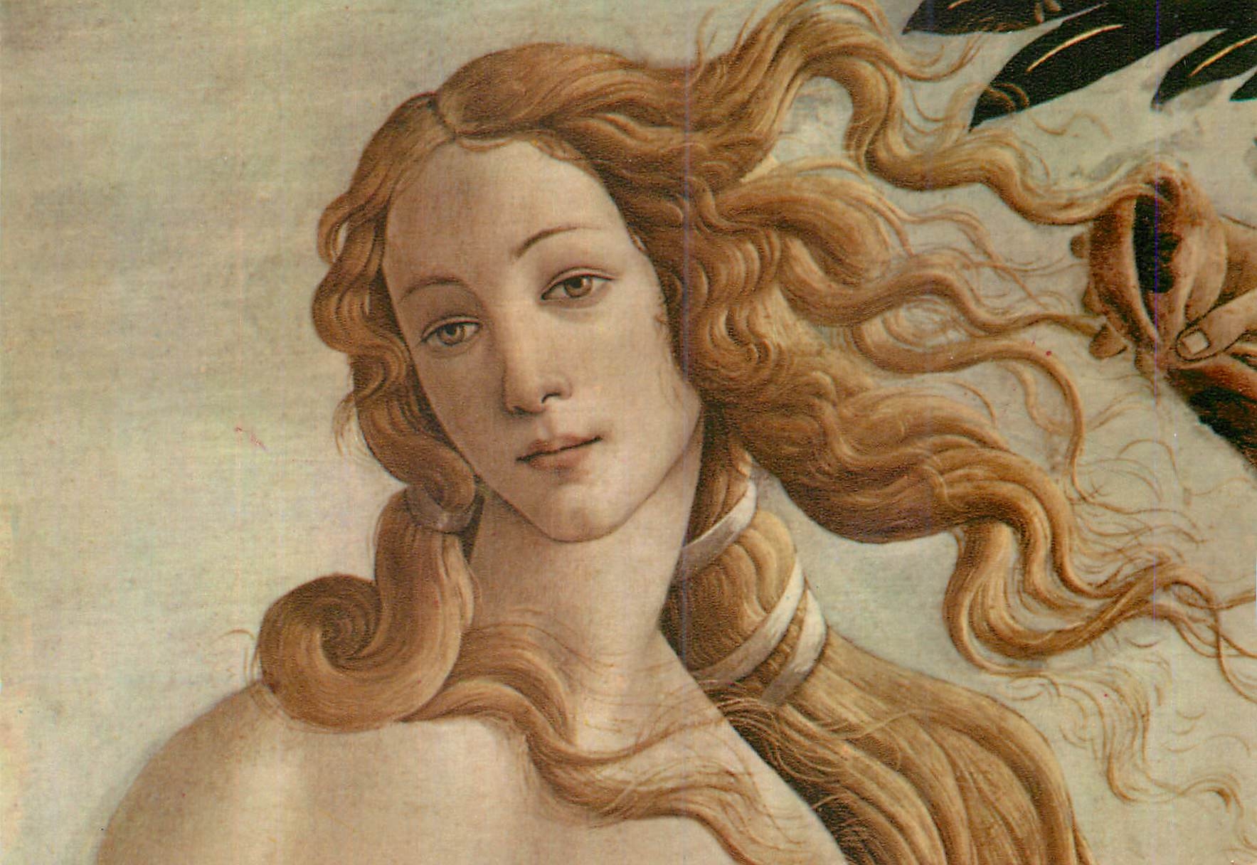 CPM Firenze Galleria Uffizi Botticelli La nativite de Venus (detail)