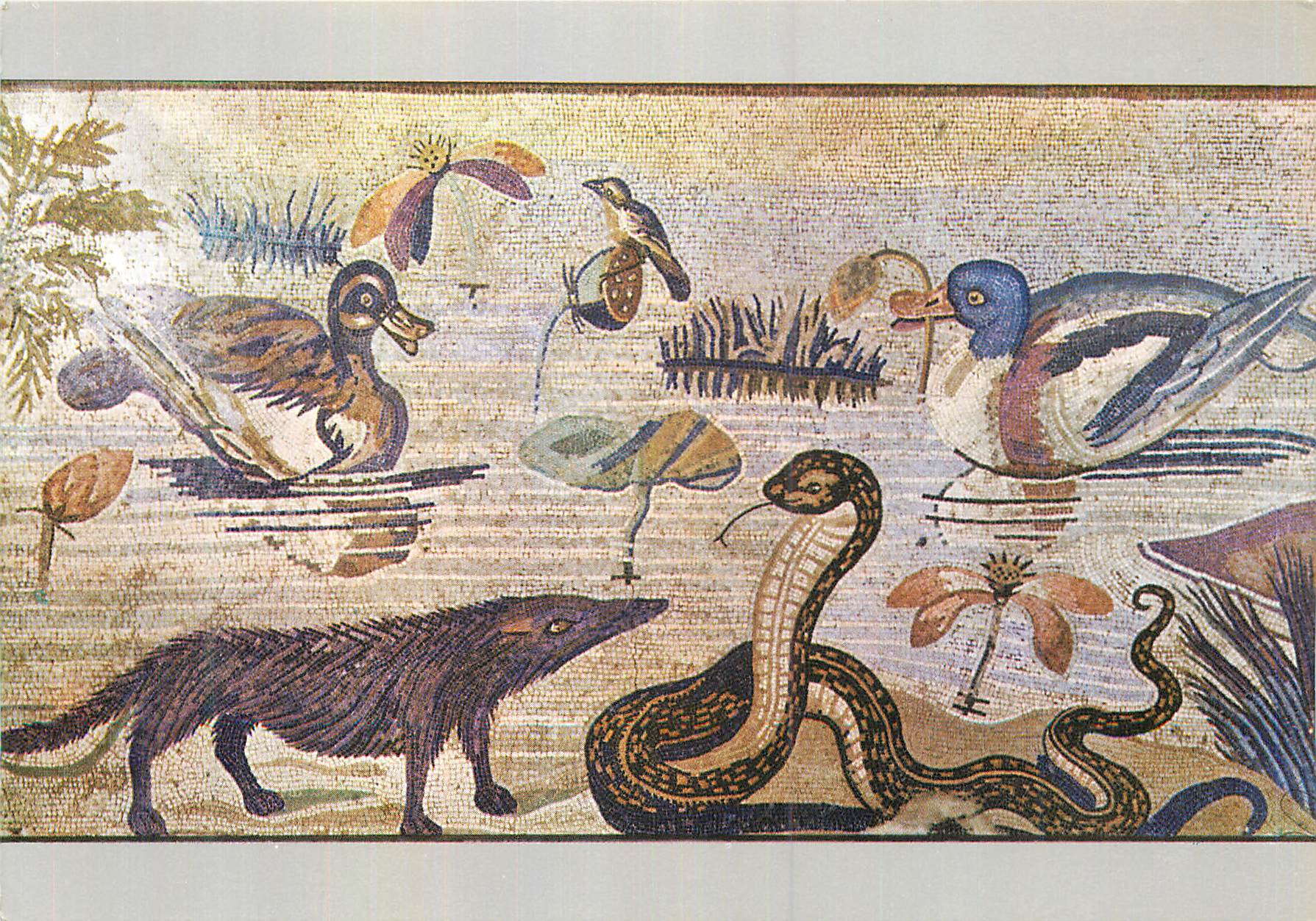 CPM Napoli Museo Nazionale Scena nilotica Serpent Canard 