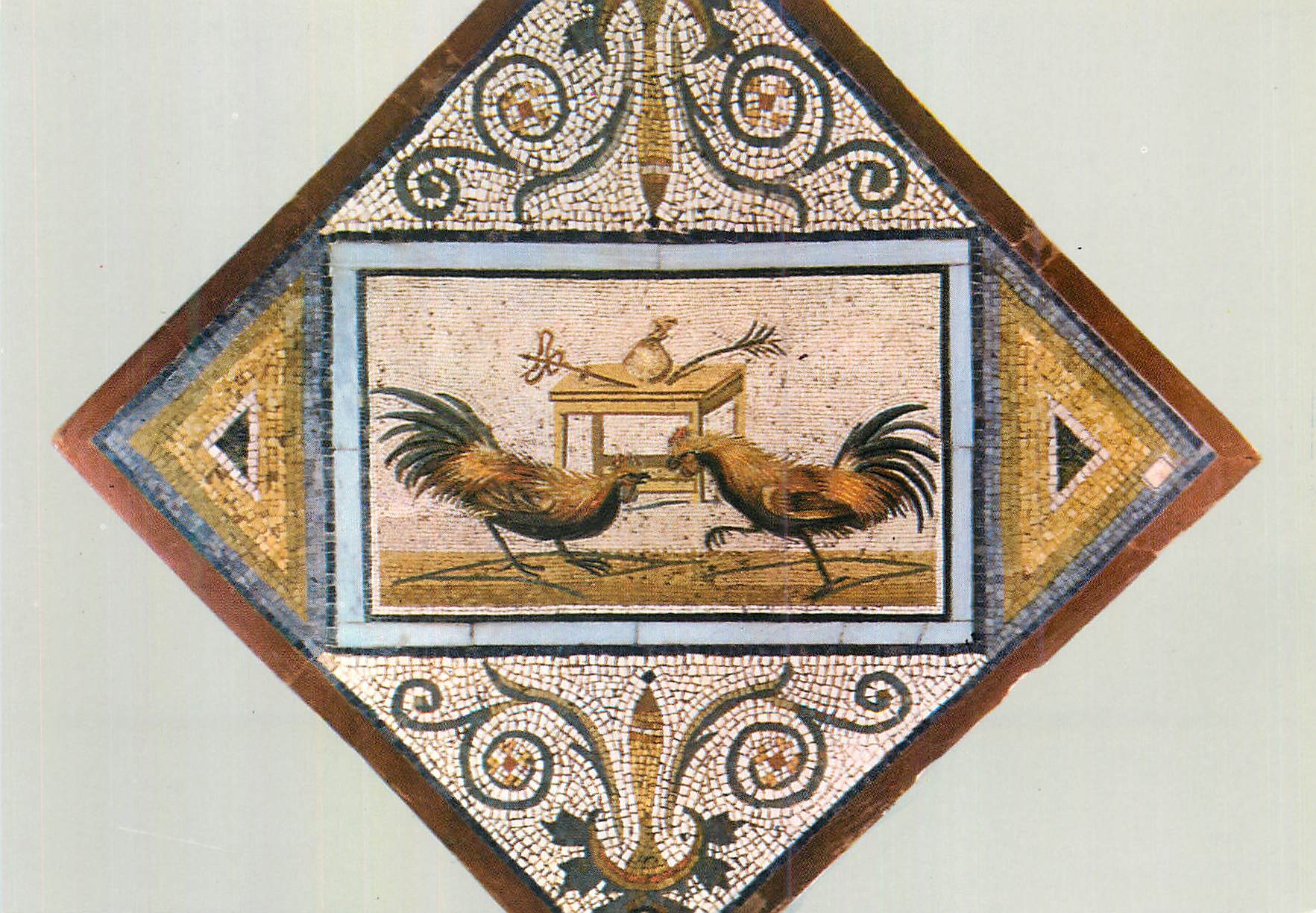 CPM Museo Archeologico Naz Di Napoli Lutte de jeunes coqs