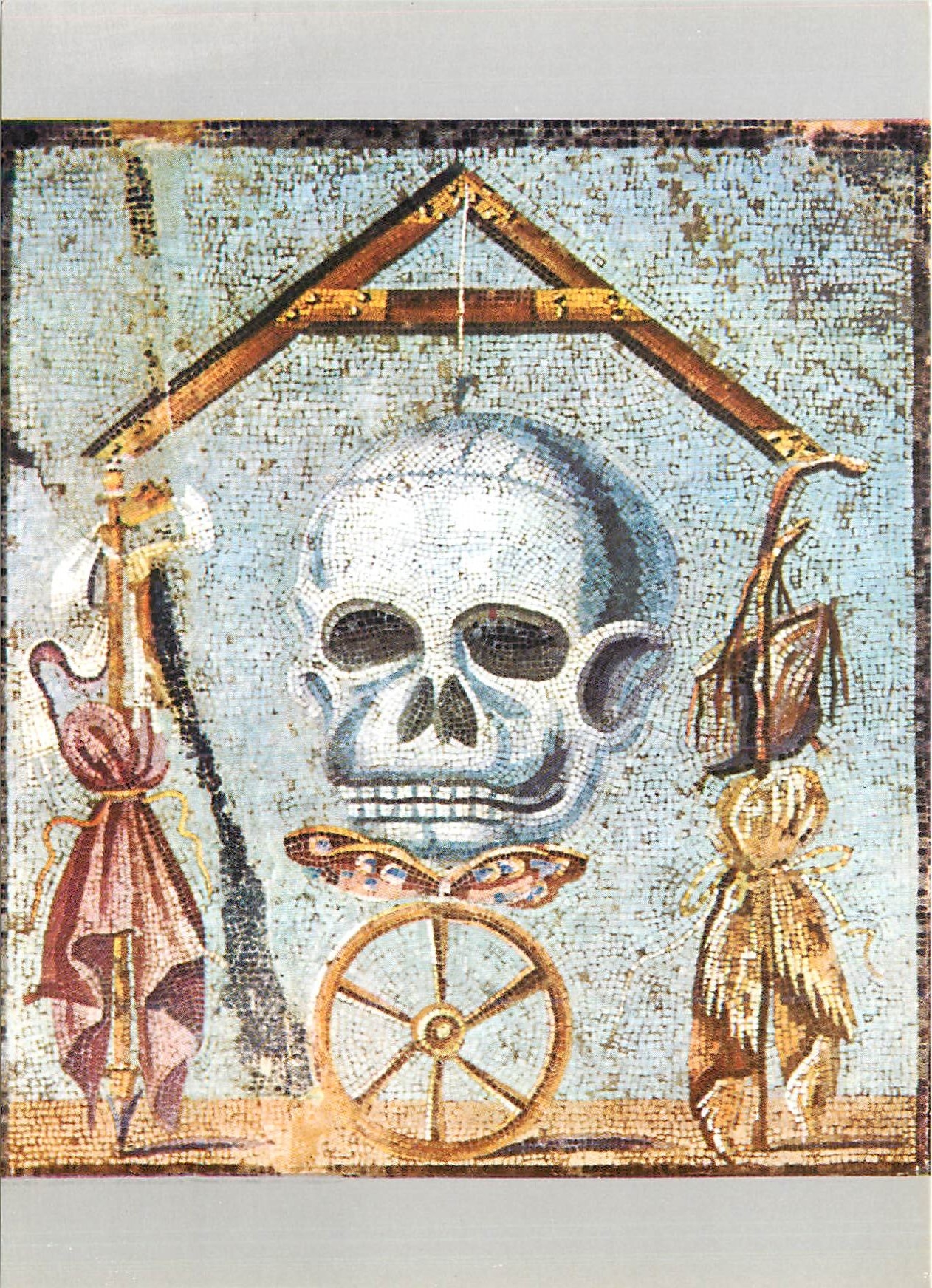 CPM Napoli Museo Nazionale Un Teschio interno