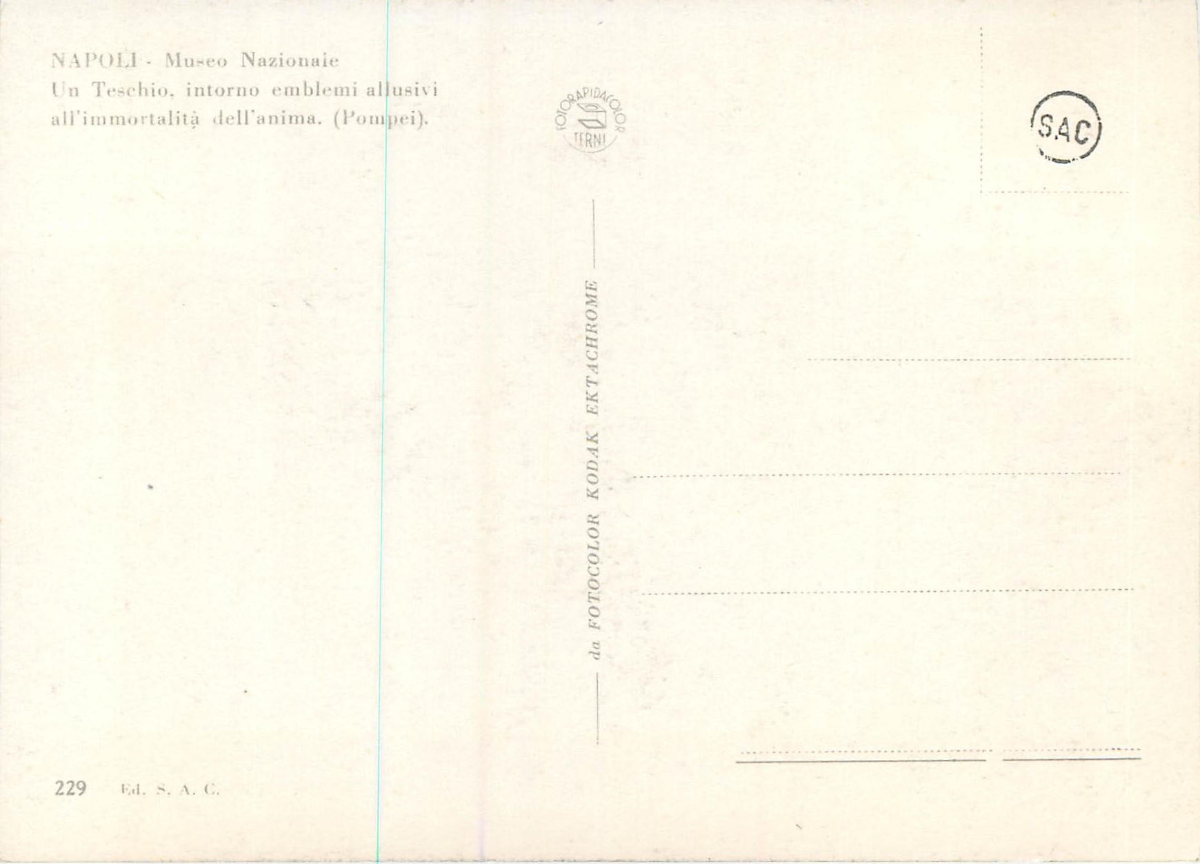 CPM Napoli Museo Nazionale Un Teschio interno — Rückseite