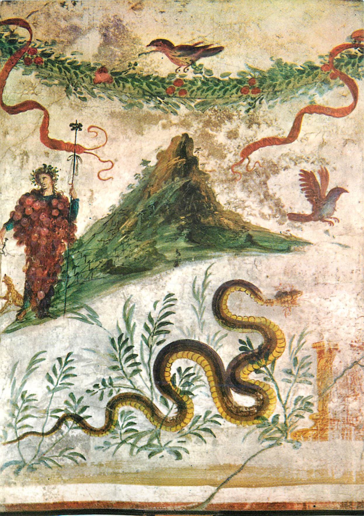 CPM Museo Nazionale di Napoli Bacchus et Vesuvio