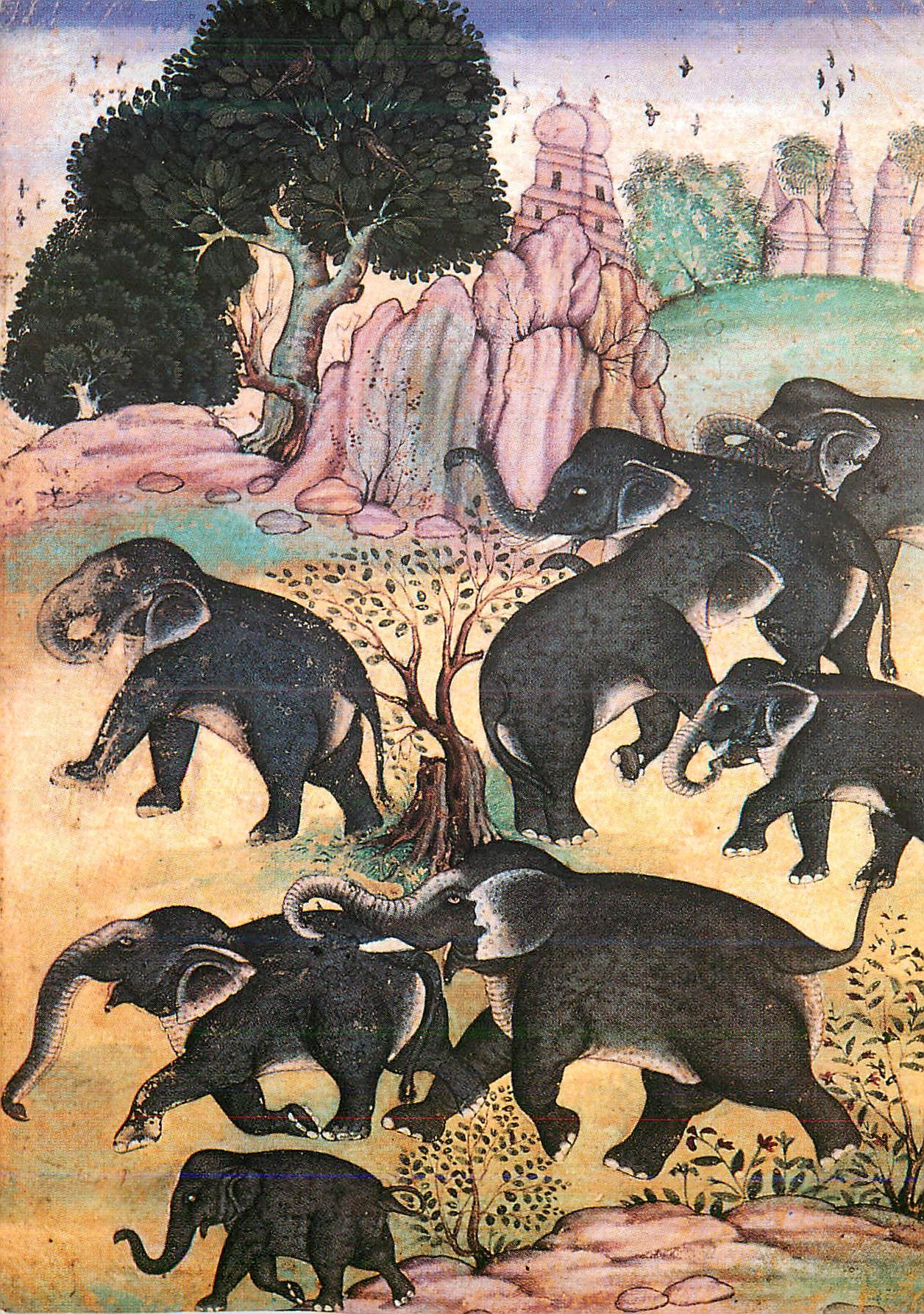 CPM Elephants s'ebattant Ecole moghole vers 1630 Elephant