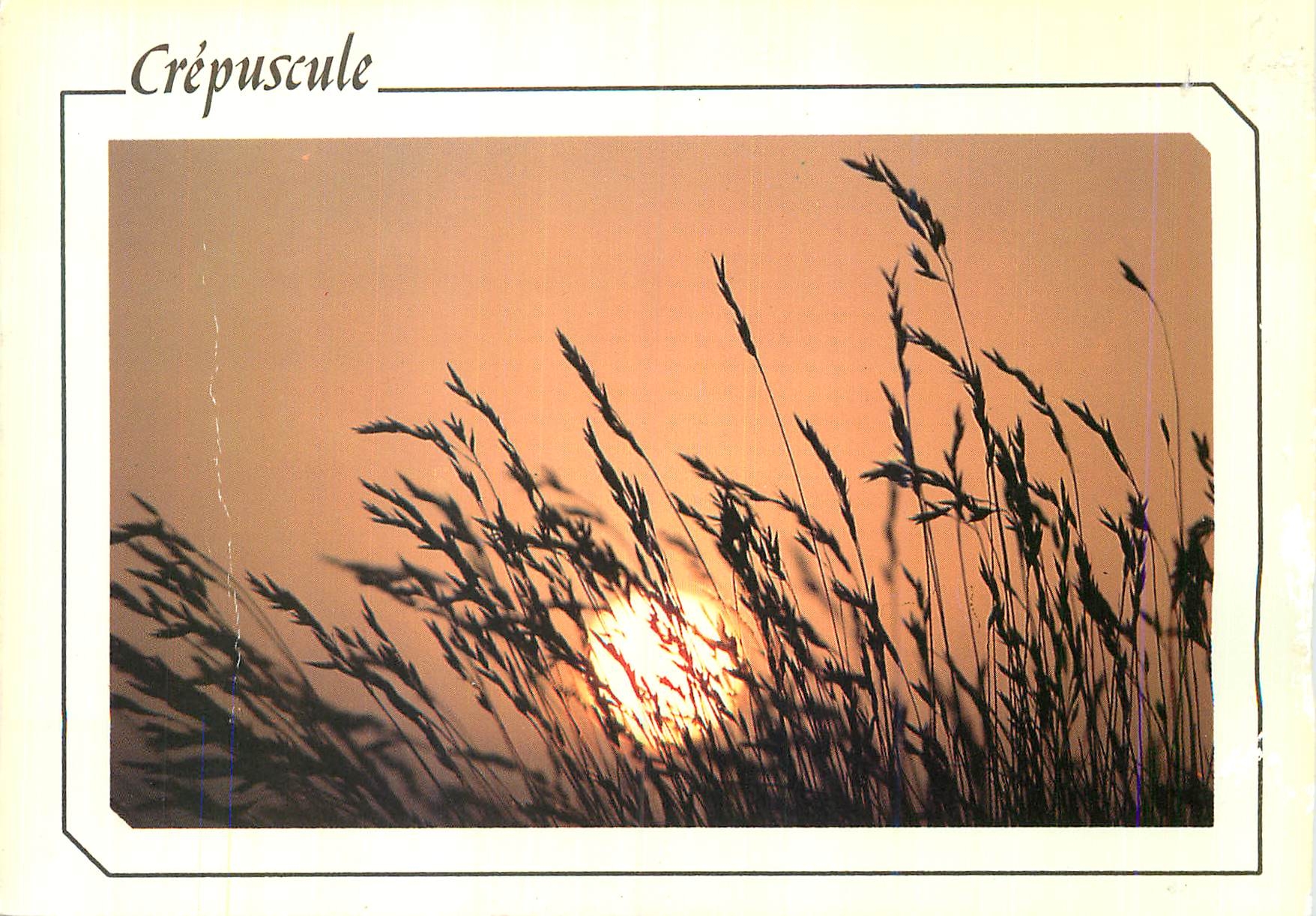 CPM Crepuscule