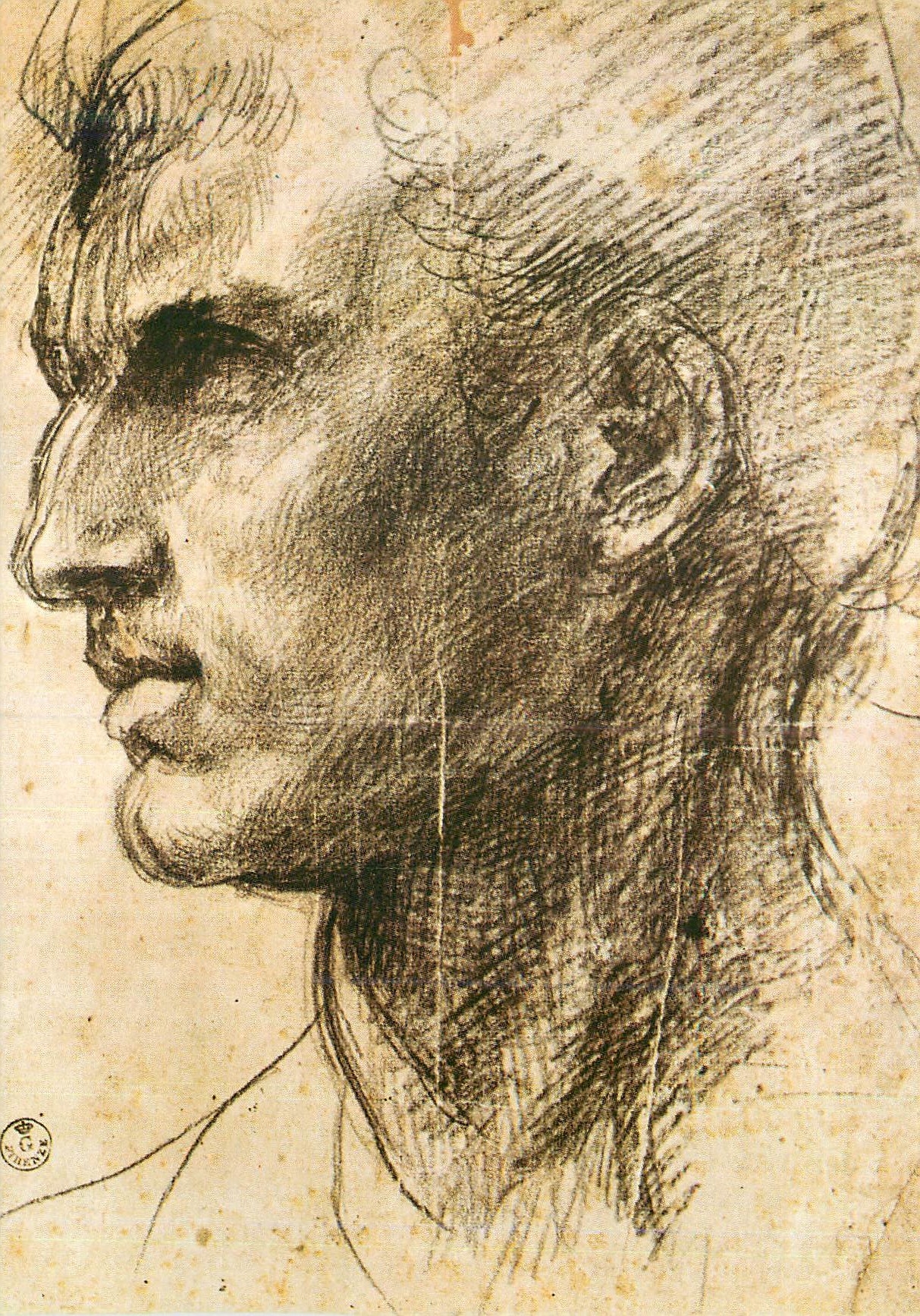 CPM Firenze Galleria Uffizi Andrea Del Sarto Testa virile
