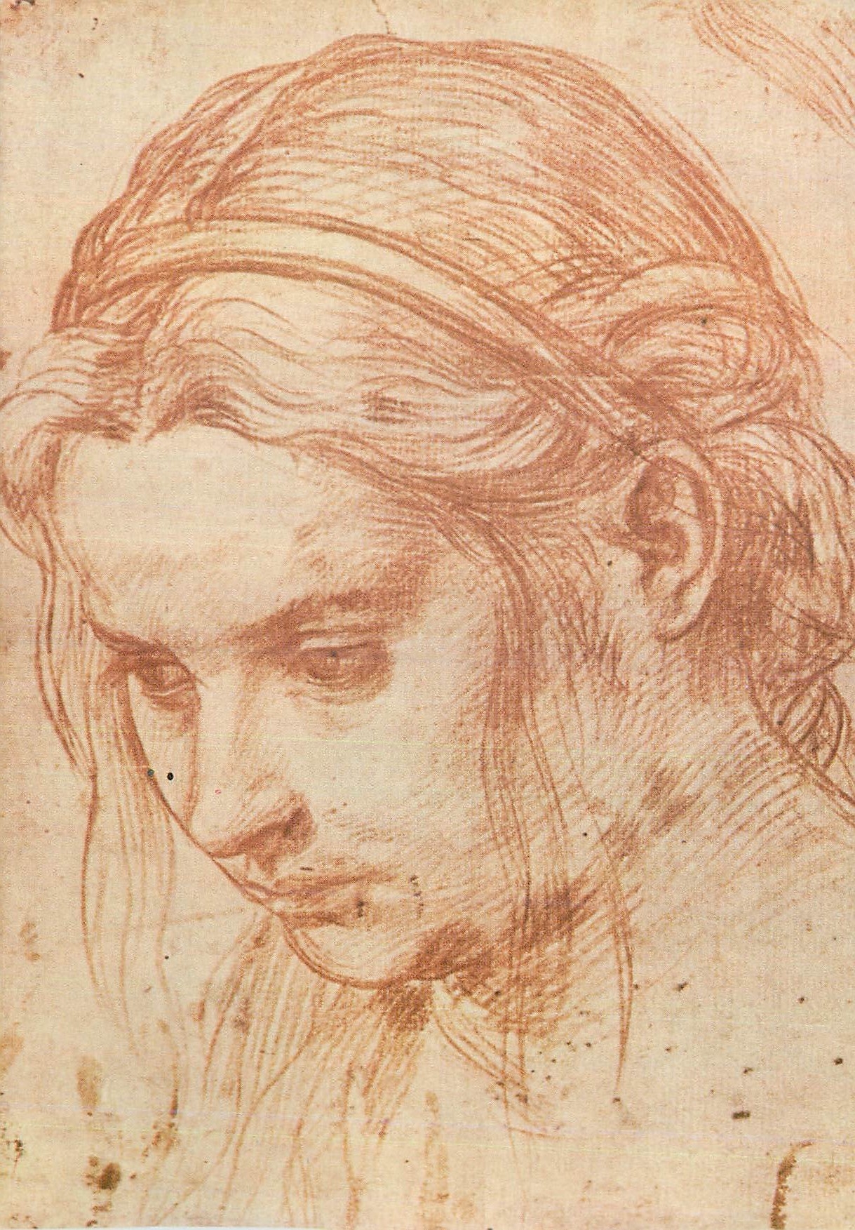 Andrea del Sarto — Portrait de jeune femme — Édition Giusti di S. Becocci, Florence