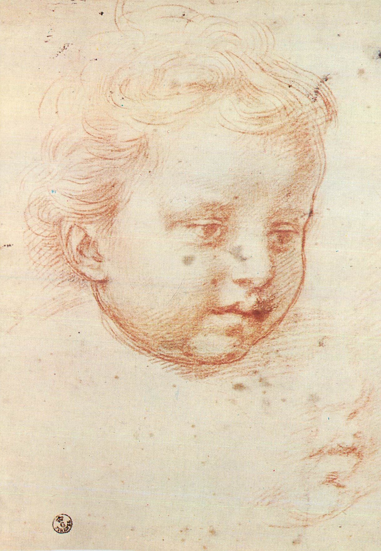 CPM Firenze Galleria Uffizi Gab Desegni e Stampe Andrea Del Sarto Testa di putto