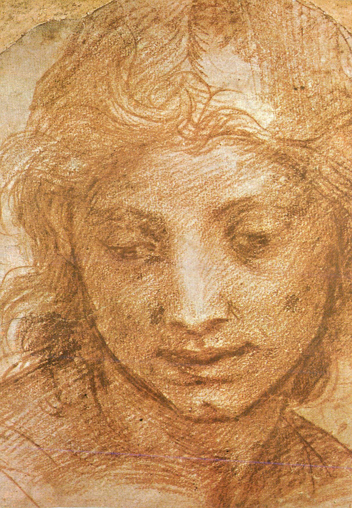CPM Firenze Galleria Uffizi Gab Desegni e Stampe Andrea Del Sarto Testa giovanile