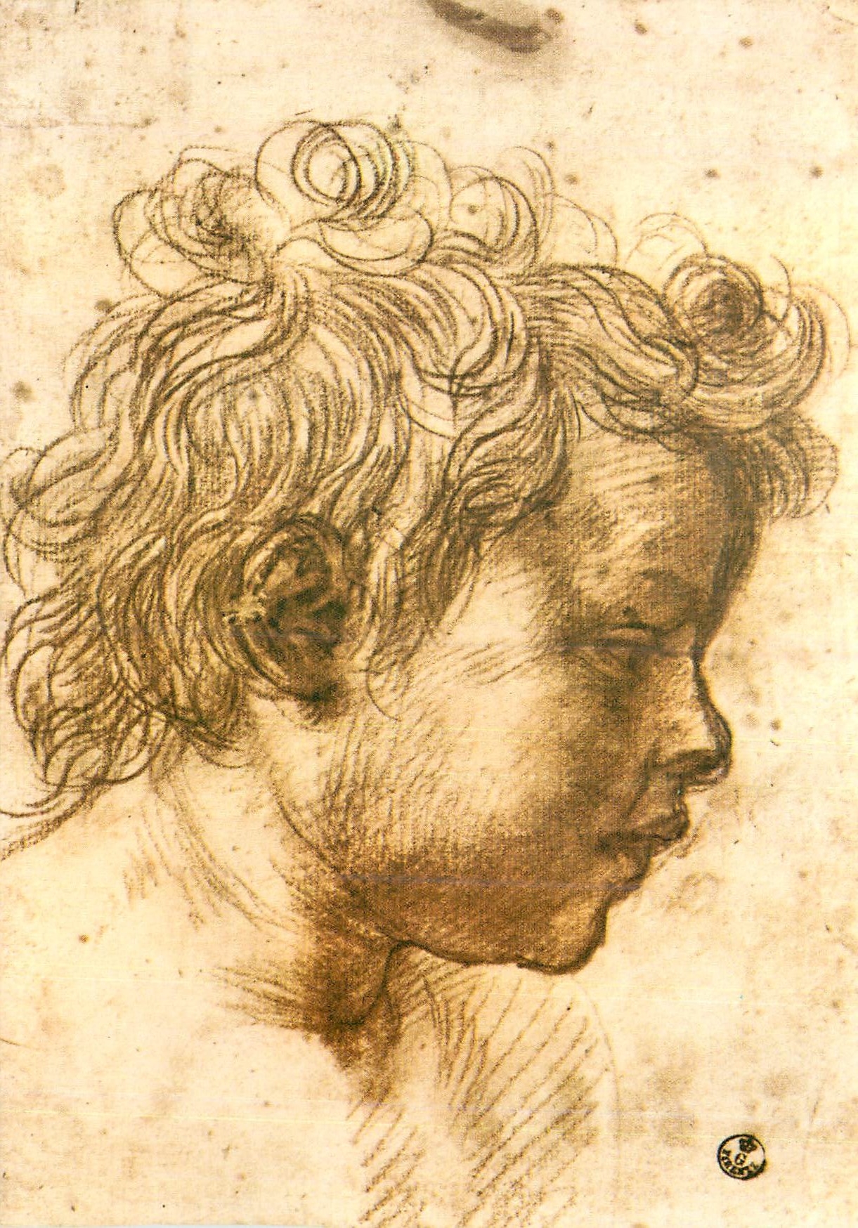 CPM A Del Sarto S Giovannino