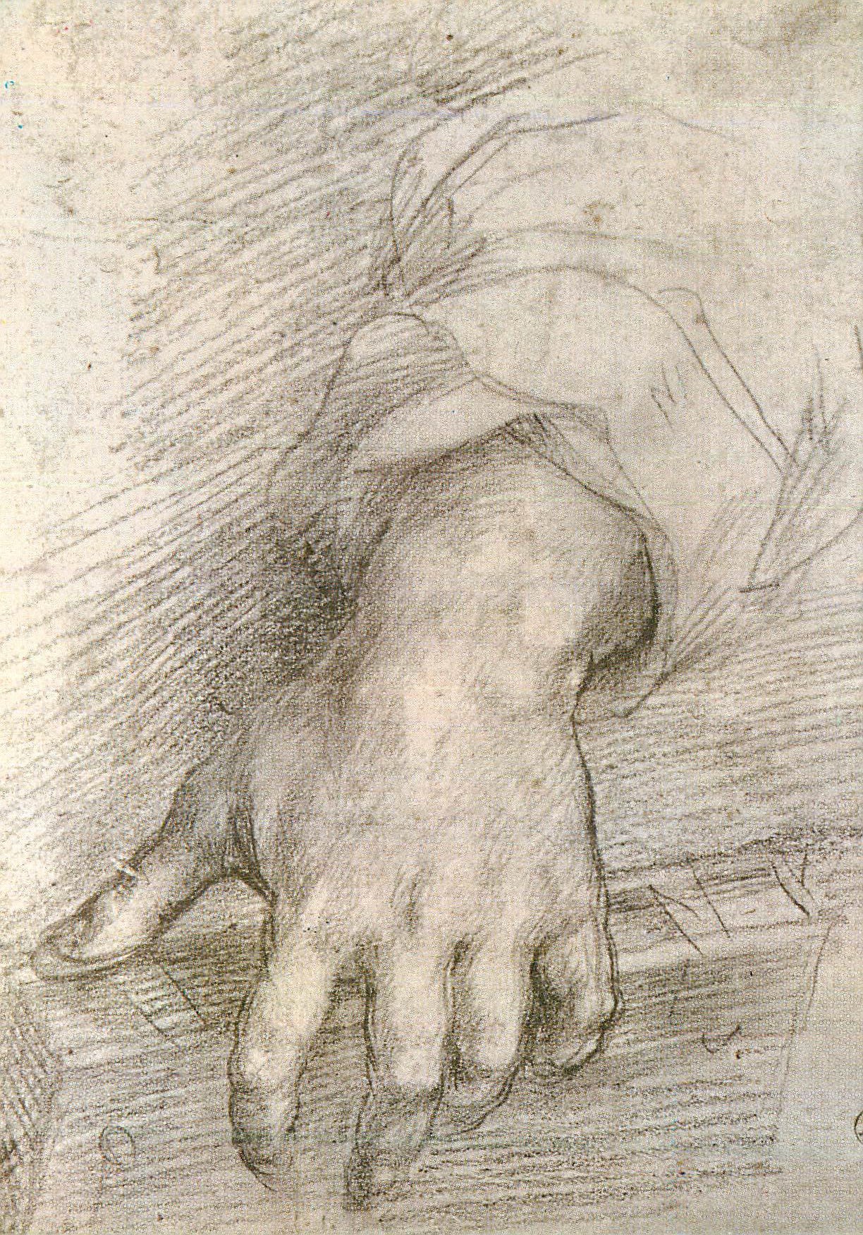 CPM Firenze Galleria Uffizi Gab Desegni e Stampe Andrea Del Sarto Mano Muliebre