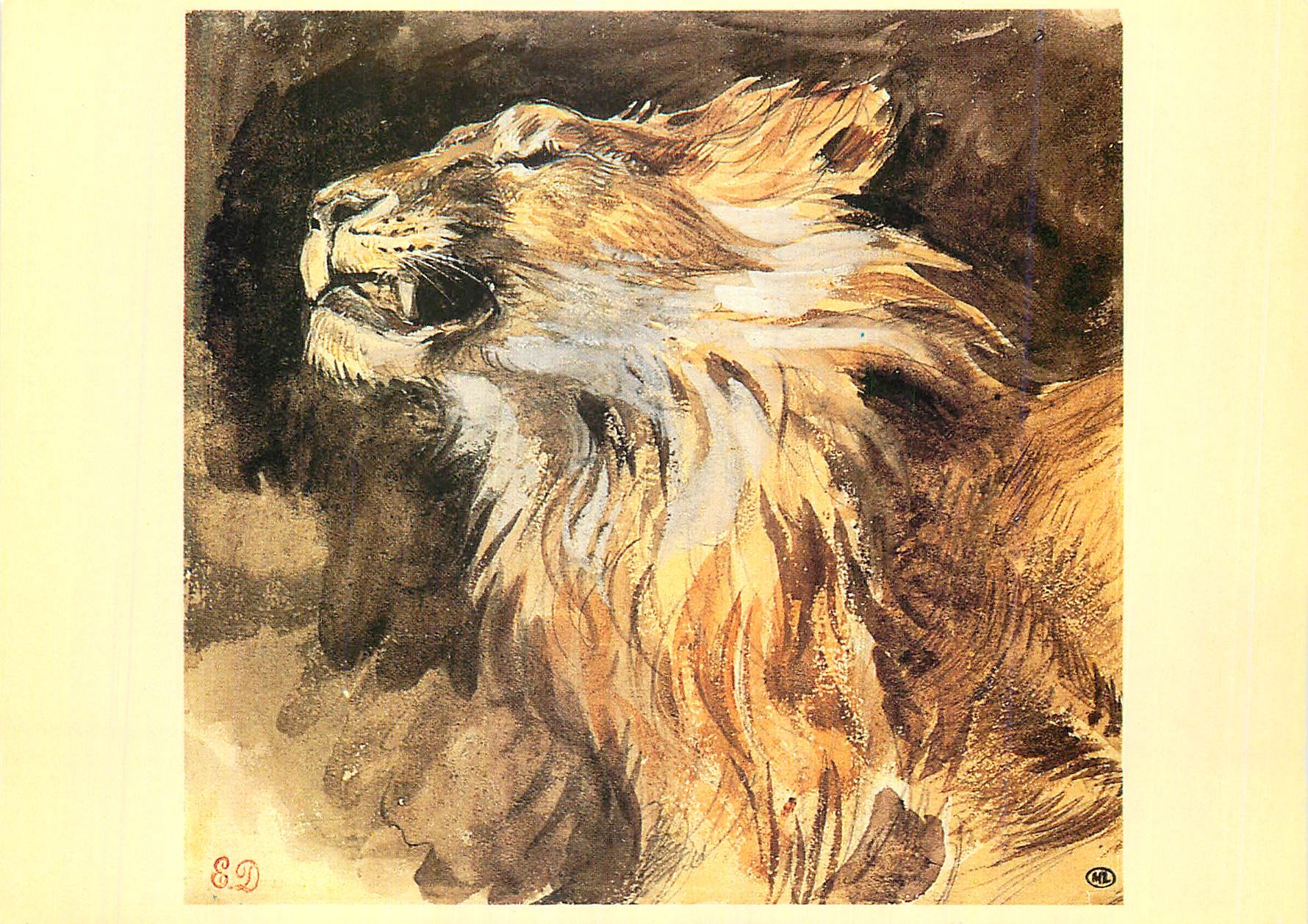 CPA Eugene Delacroix (1798 1863) Tete de lion rugissant Aquarelle sur traits de crayon Paris Musee du Louvre Cabinet des