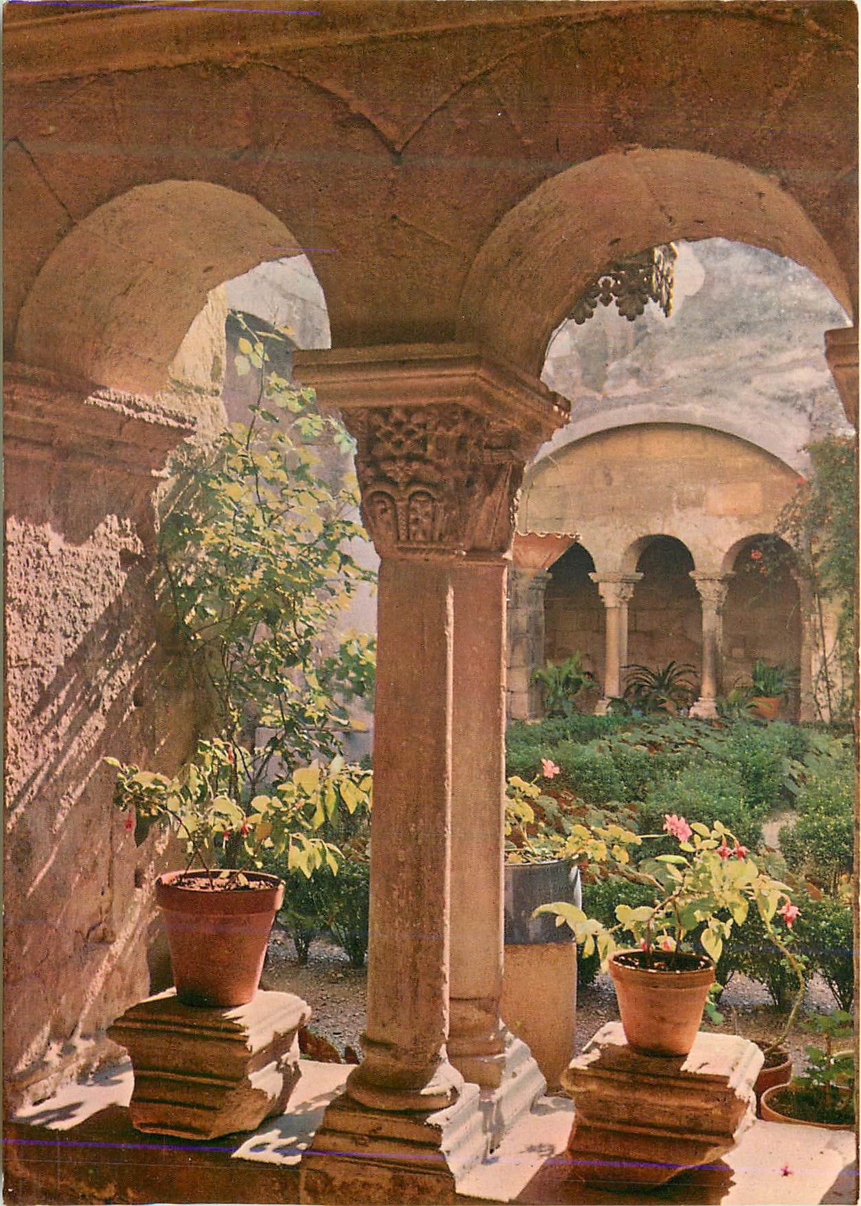 CPM Saint Remy de Provence (Bouches du Rhone) Interieur du Cloitre de Saint Paul de Mausole