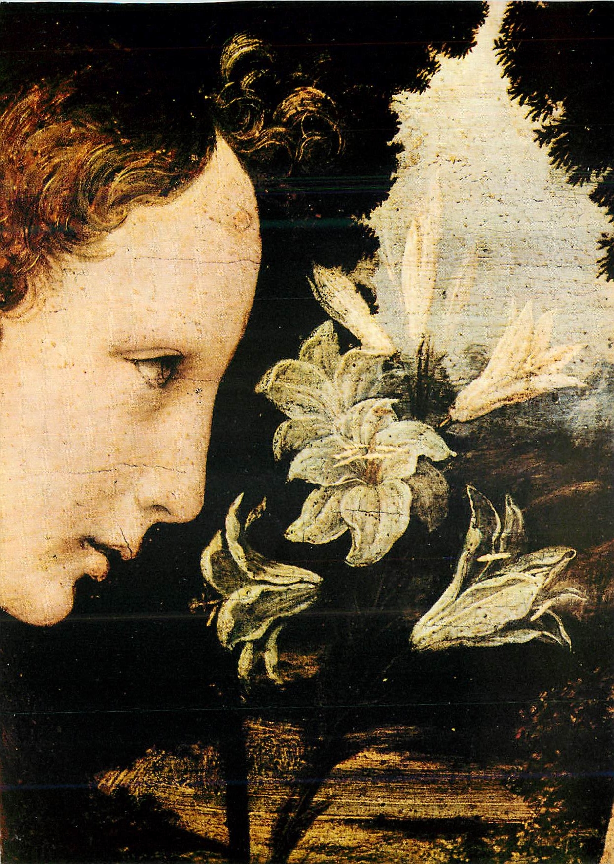 CPM Leonardo da Vinci L'Annonciation Detail Florenz Uffizien