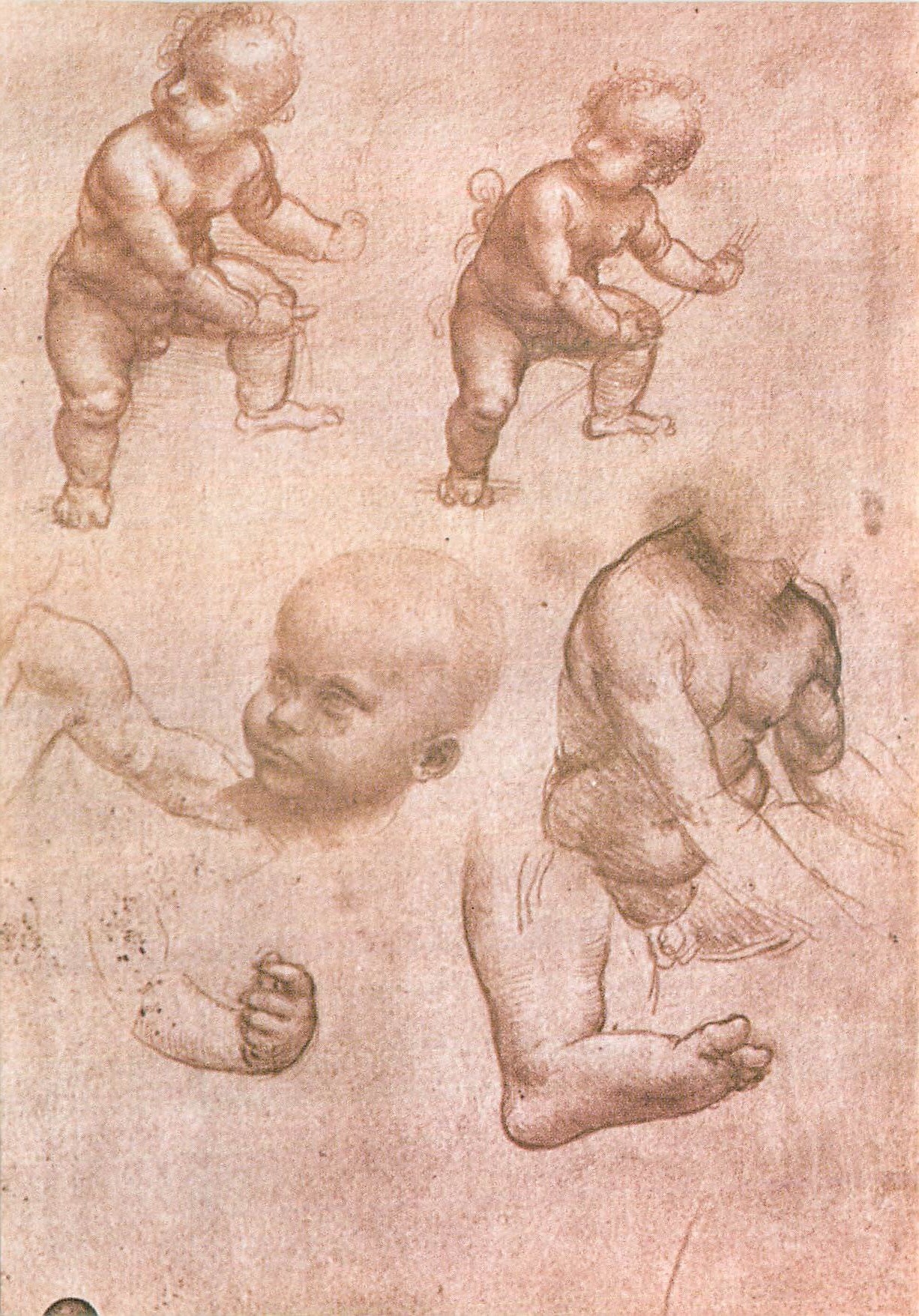 CPM Leonardo Studio di bimbi