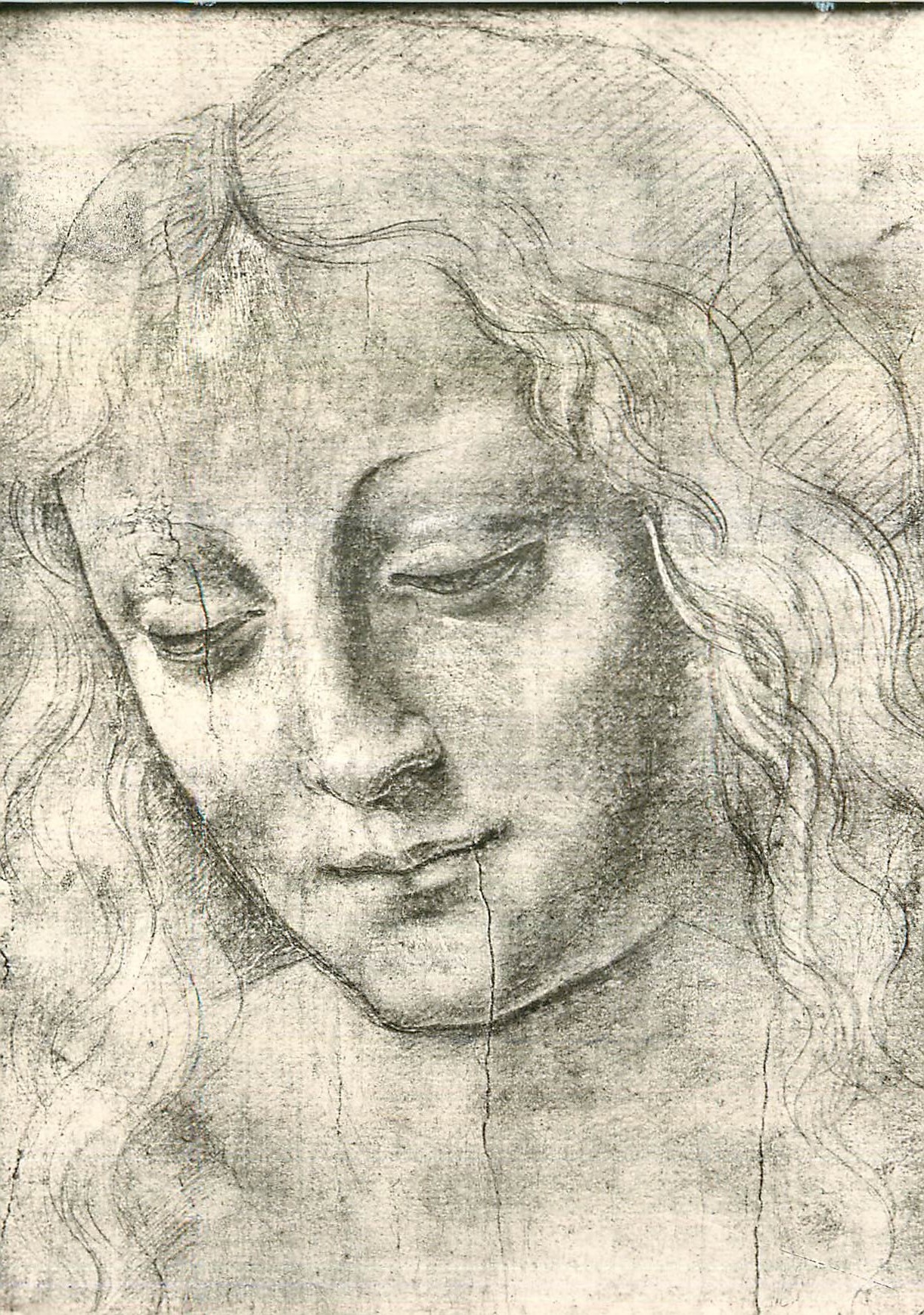 CPM Bayonne Musee Bonnat Leonardo da Vinci (1452 1519)