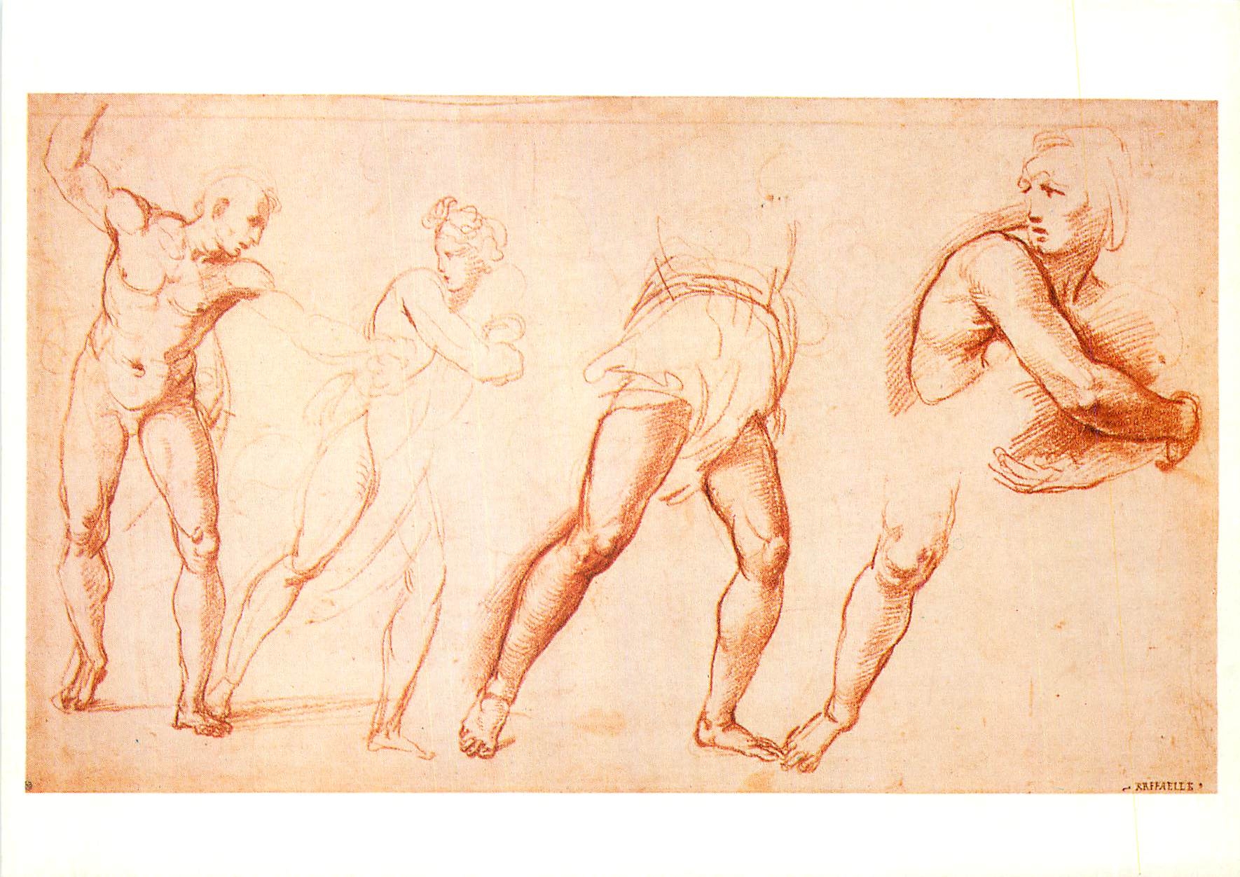 CPM Raphael (1483 1520) Etude pour le Massacre des Innocents Sanguine Exposition Dessins Italiens de l'Alberrina de Vien