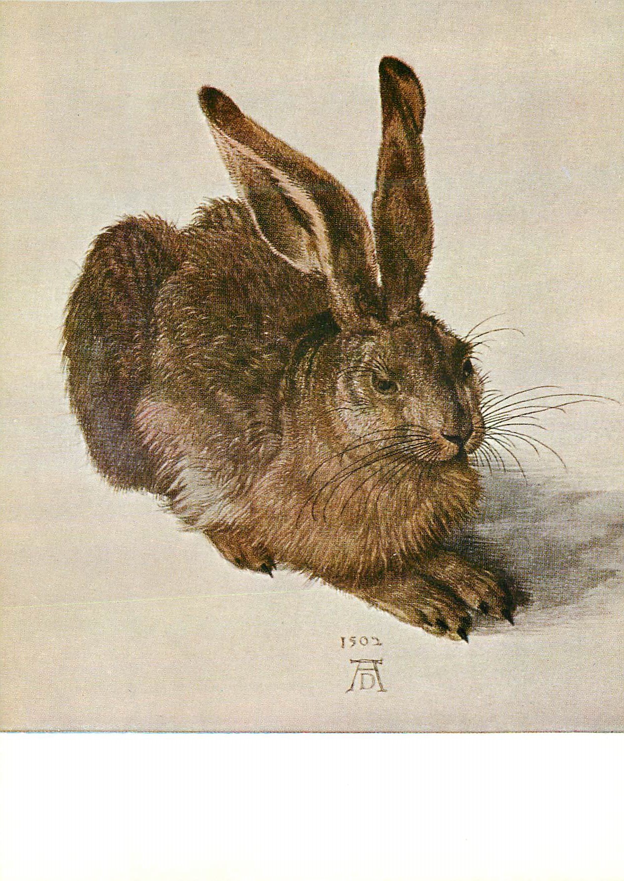 CPM Albrecht Durer (1471 1528) Der Hase The Hare