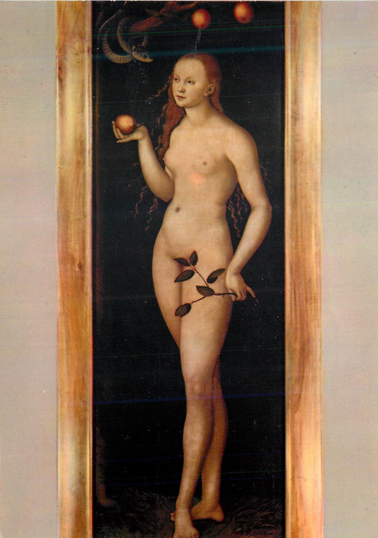 CPM Firenze Gallerie Uffizi Cranach Eva