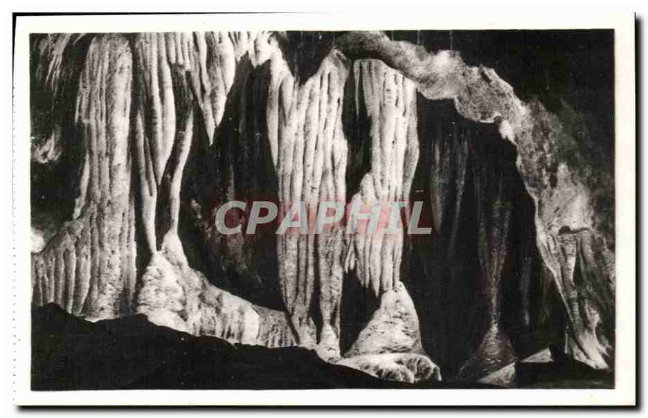 Les Grottes de Saint-Cézaire — Intérieur de l'alcôve (les colonnes) — Edit. d'Art Munier, Montluçon