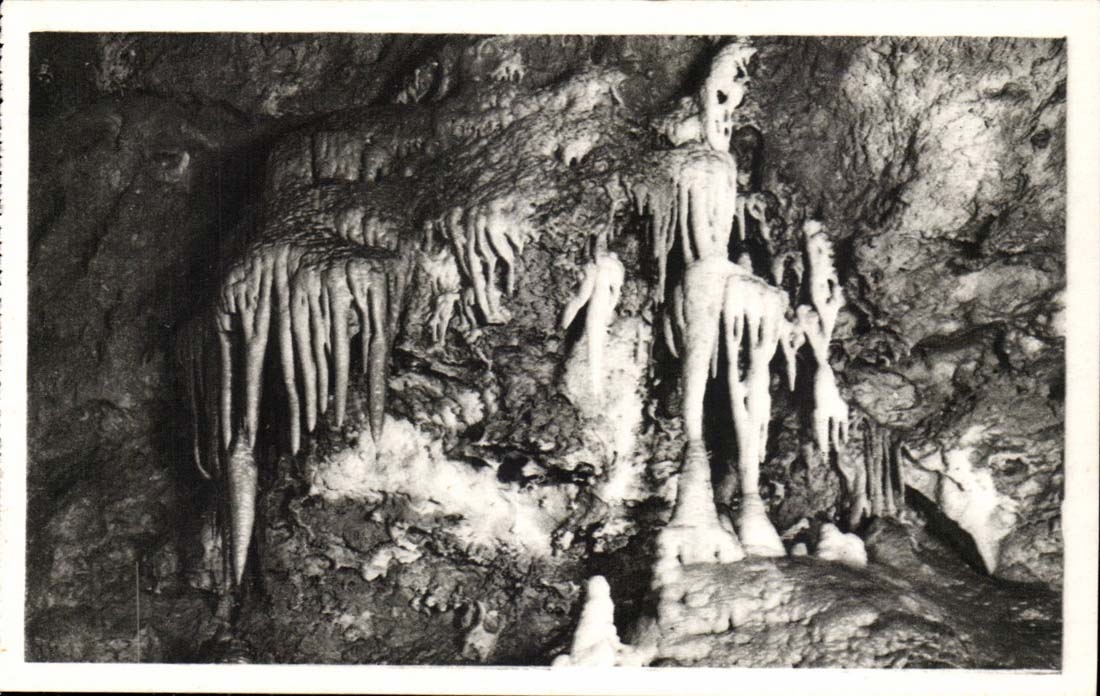 Les Grottes de Saint-Cézaire — Les Orgues et le Squelette — Edit. d'Art Munier, Montluçon
