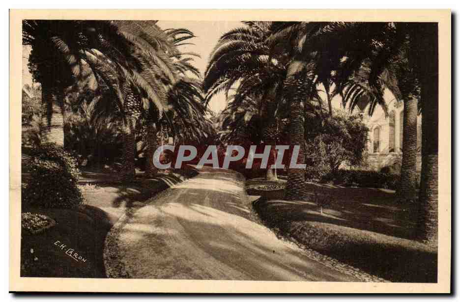 Cannes CPA Hotel CAlifornie Les jardins