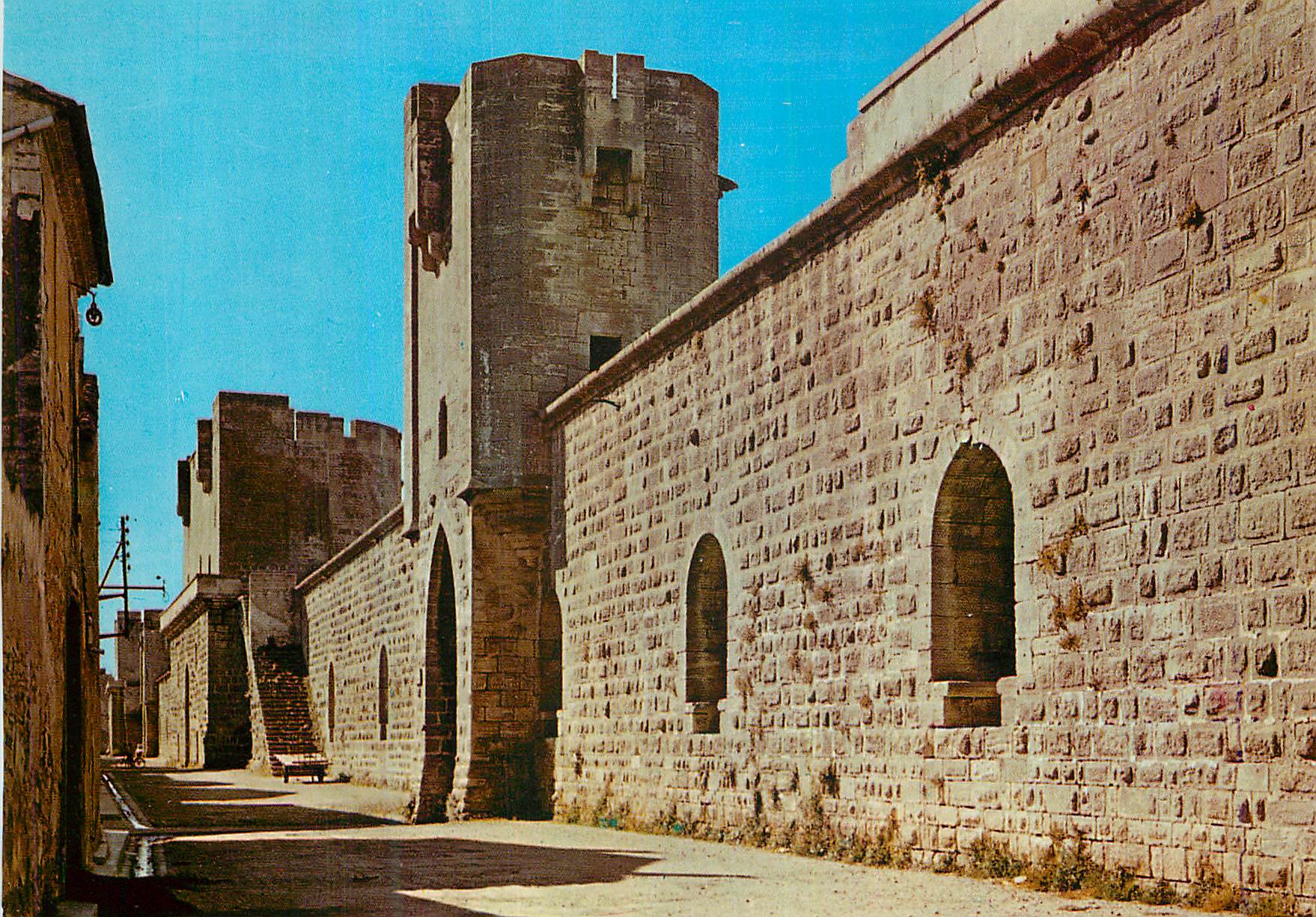 CPM Aigues Mortes (Gard) Les Remparts de la Ville Vue Interieure