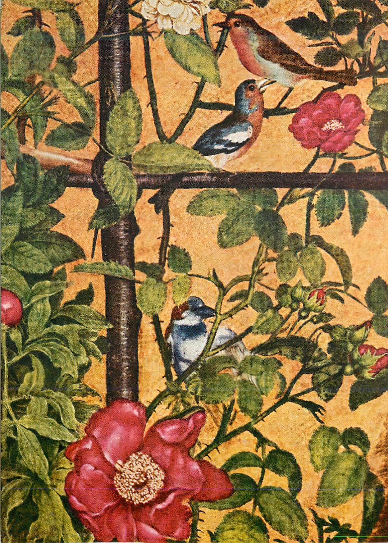 Oiseaux et roses — illustration botanique — éditeur et n° de série non lisibles