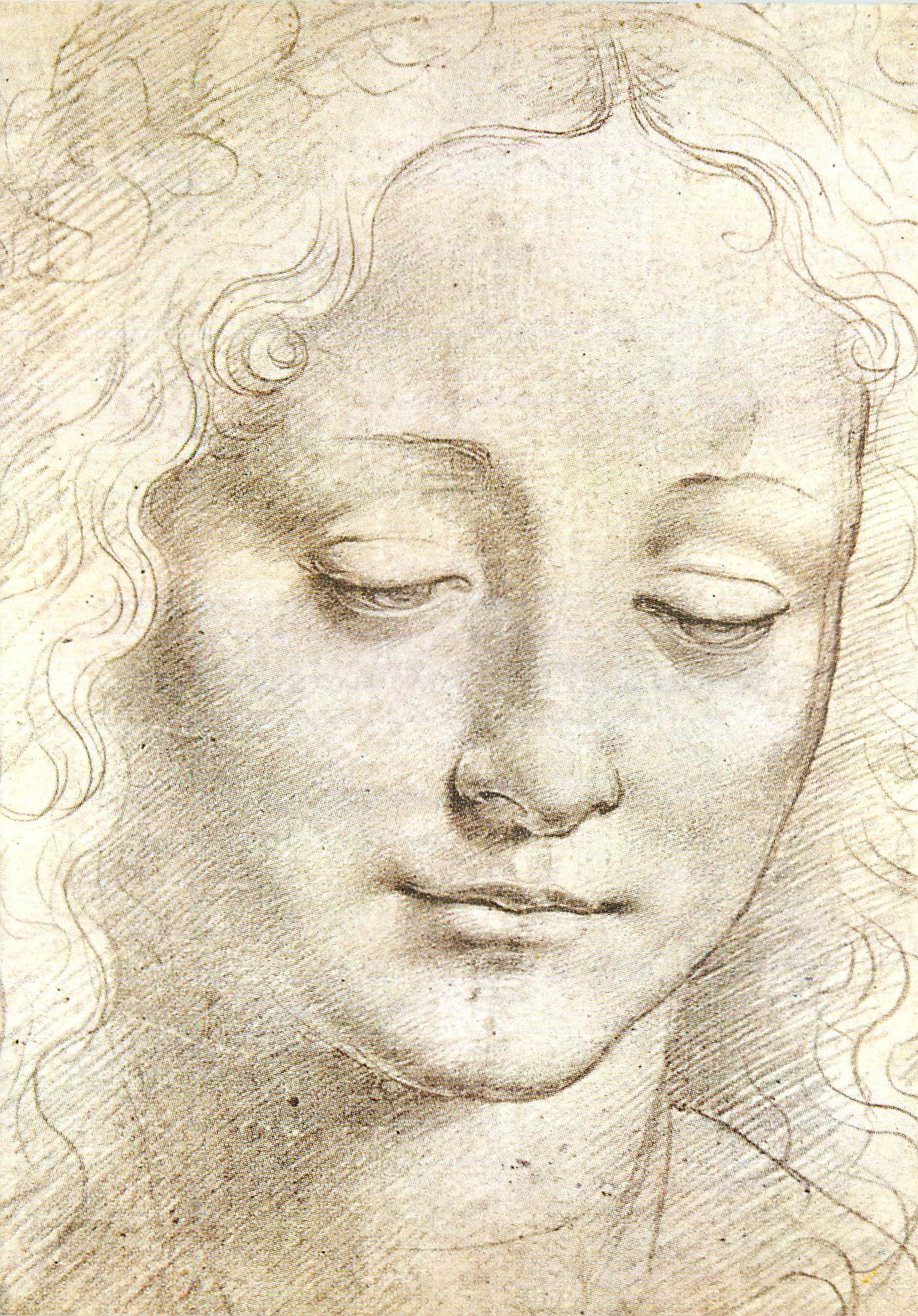CPM Firenze Galleria Uffizi Gab Disegni e Stampe Scuola di Leornado