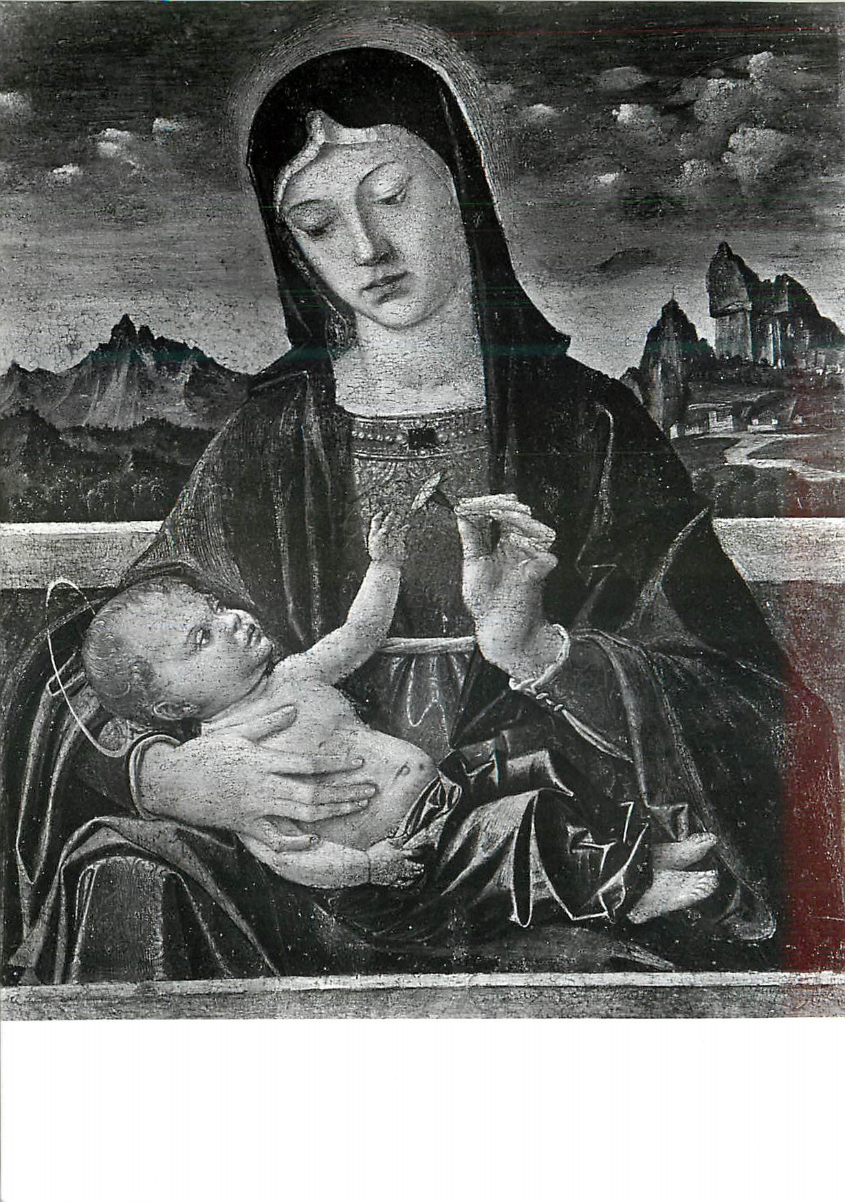 CPM Verona Museo Di Castelvecchio la Vierge a l'Oeillet de Montagne