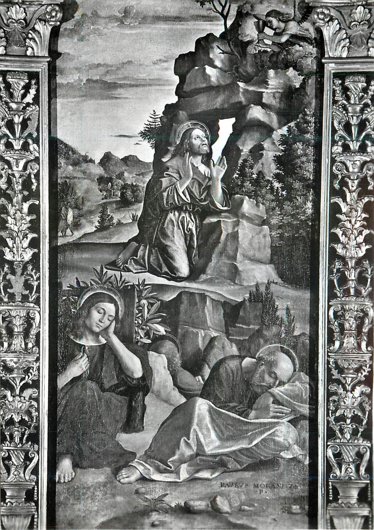CPM Verona Museo Di Castelvecchio la Priere dans le Jardin