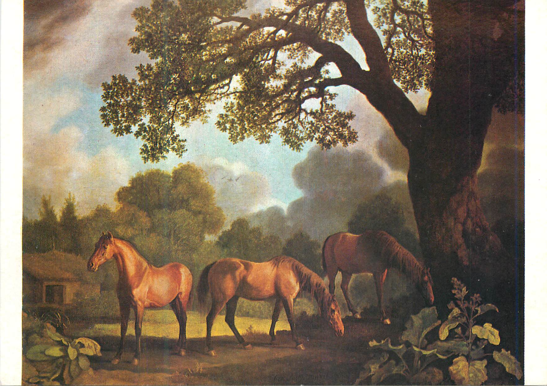 CPM Walker Art Gallery Liverpool a Colt and Two Chestnut Horses