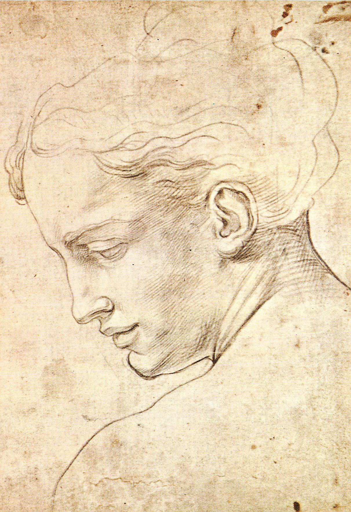 CPM Firenze Galleria Uffizi Gab Designi e Stampe Michelangelo