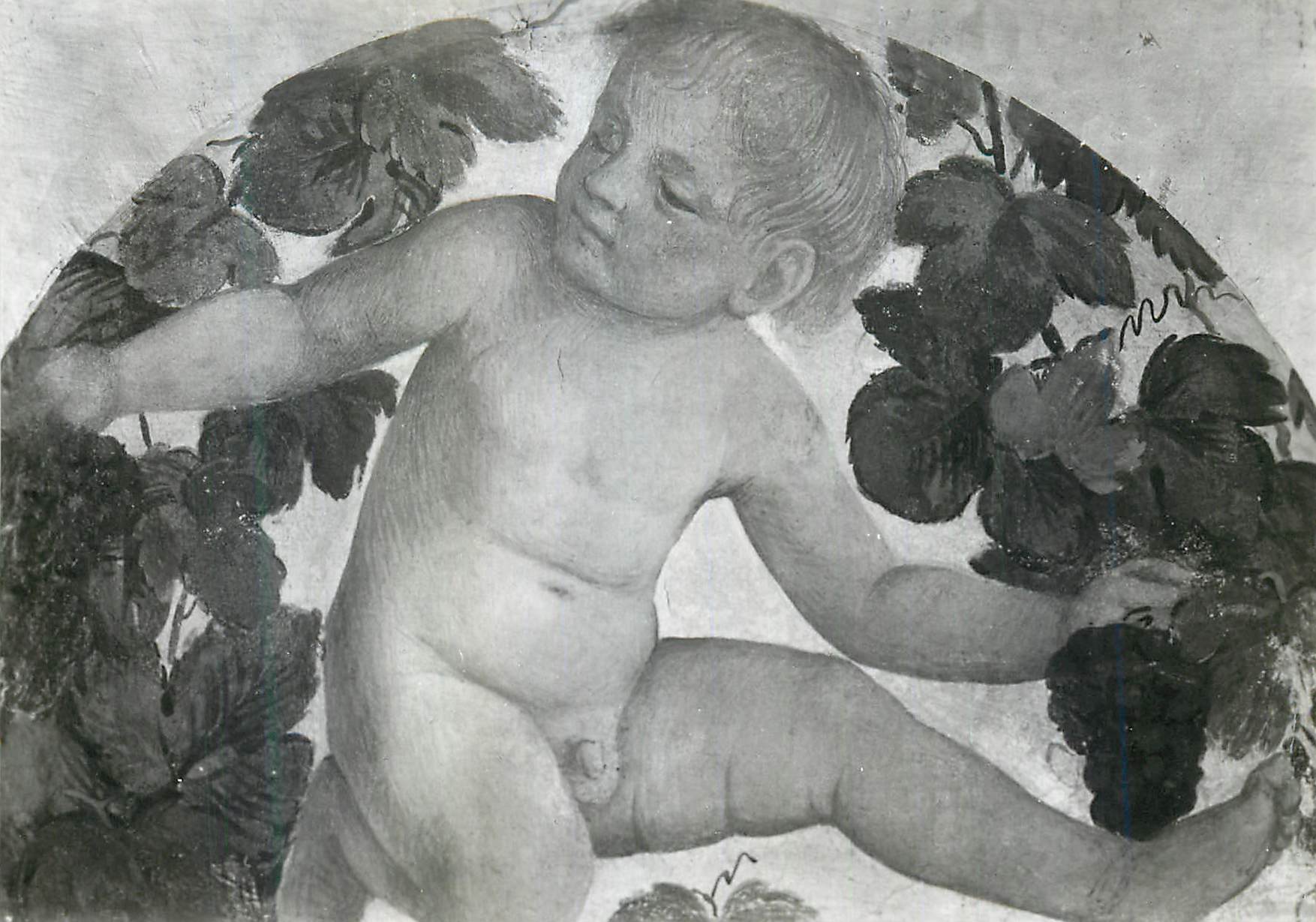 CPM Milano Pinacoteca di Brera Putto sous une treille