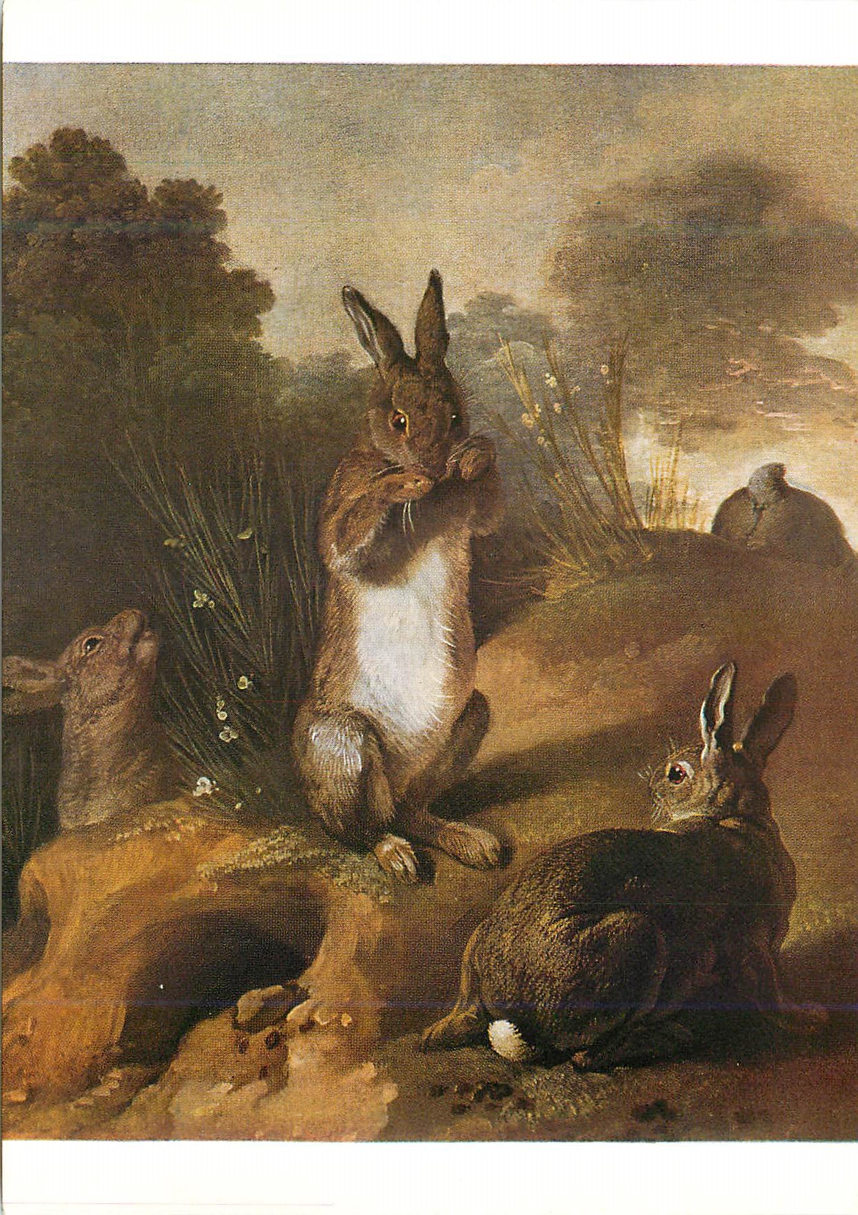 CPM National Museum Stockholm Alexandre Francois Desportes (1661 1743) Rabbits