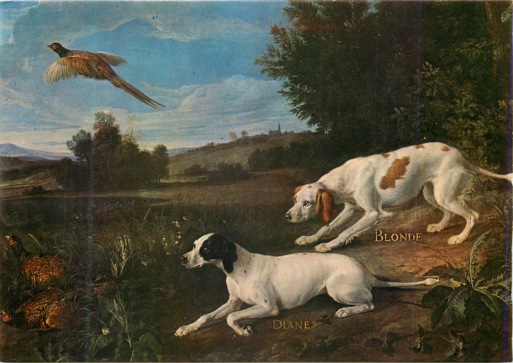 CPM Musee de la Chasse et de la Nature Hote de Guenegaud