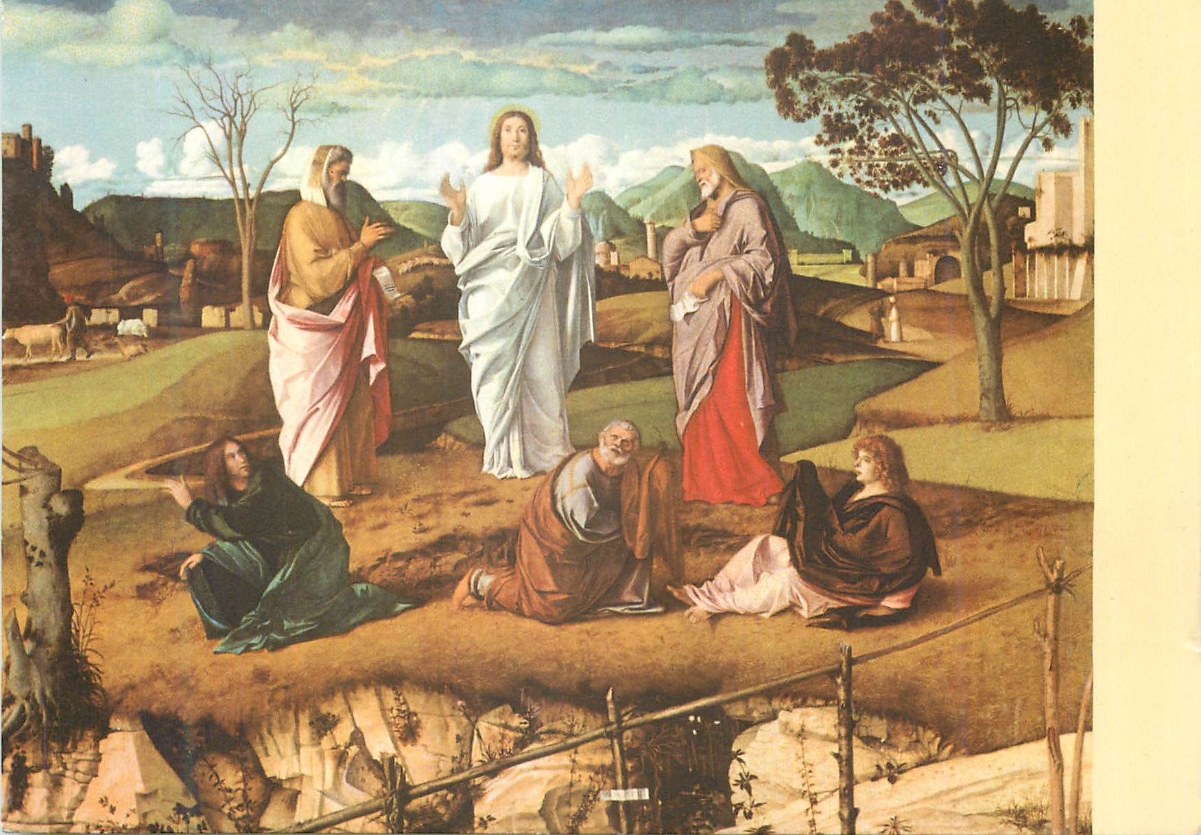 CPM Napoli Museo di Capodimonte Giovanni Bellini (1430 1516) La Transfiguration