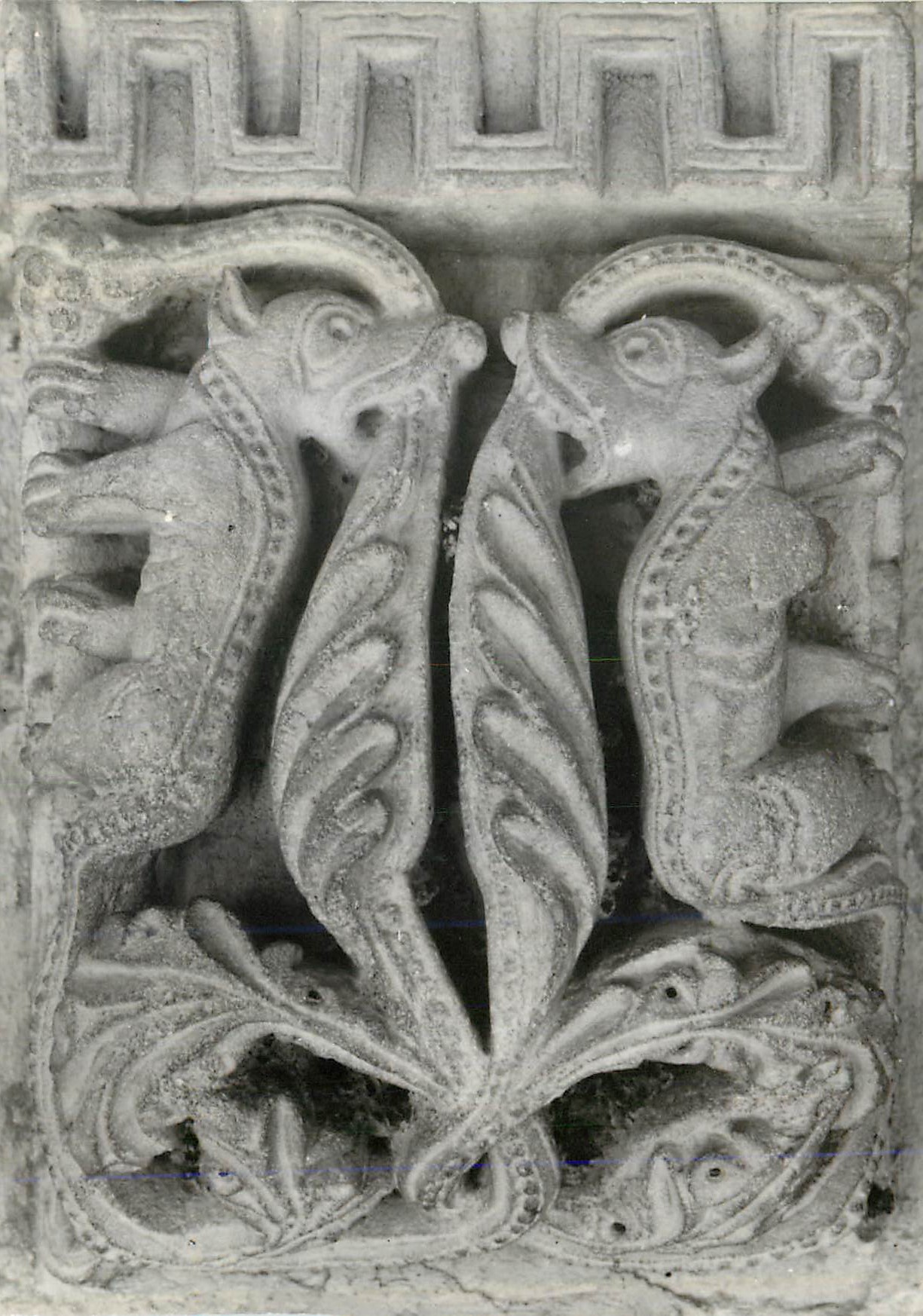 CPM Abbaye de Montmajour (B du R) Sculpture du Cloitre Animaux Affrontes (XIIe Siecle)