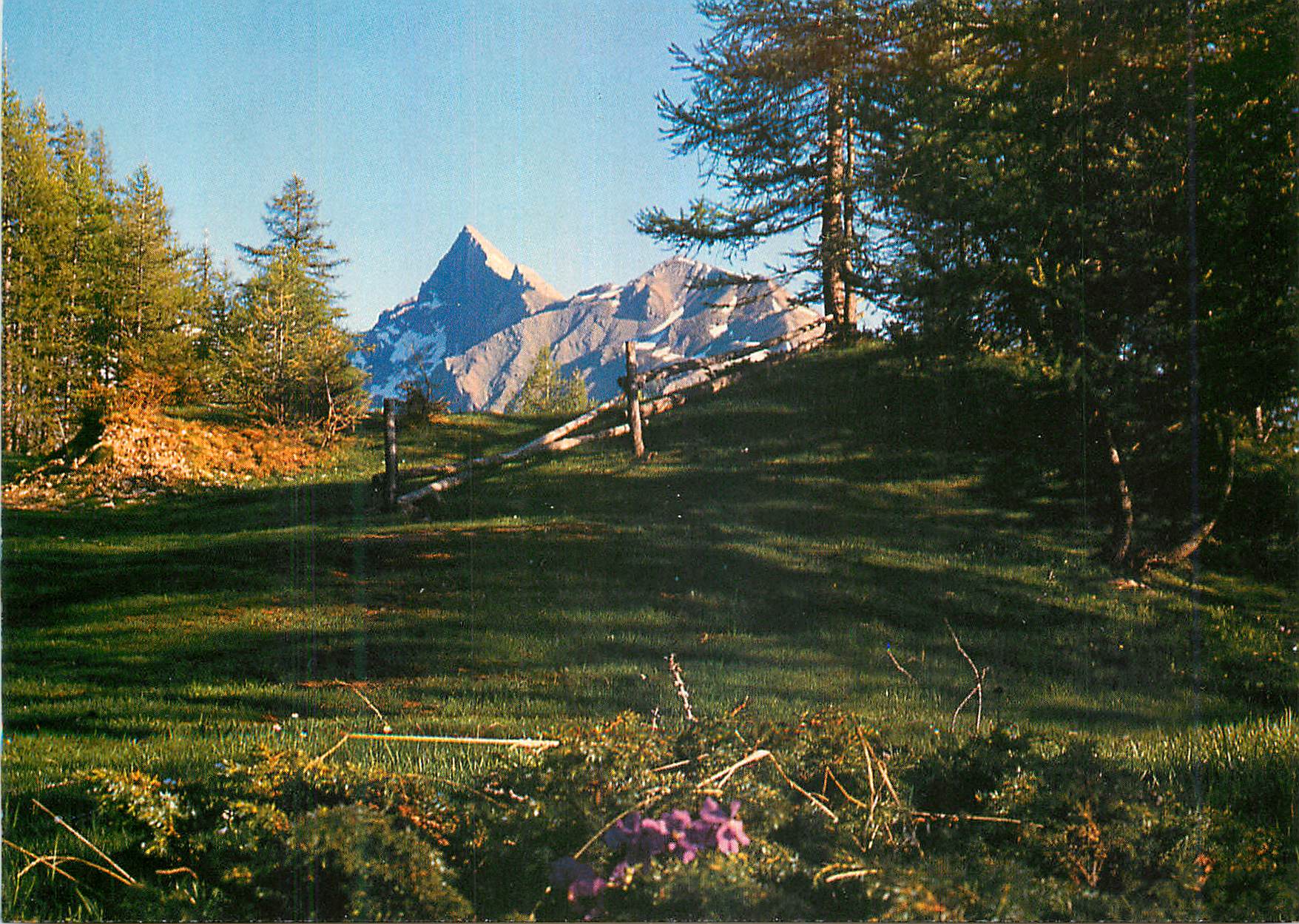 CPM Le Queyras Hautes Alpes la Roche des Clos (2801m) 