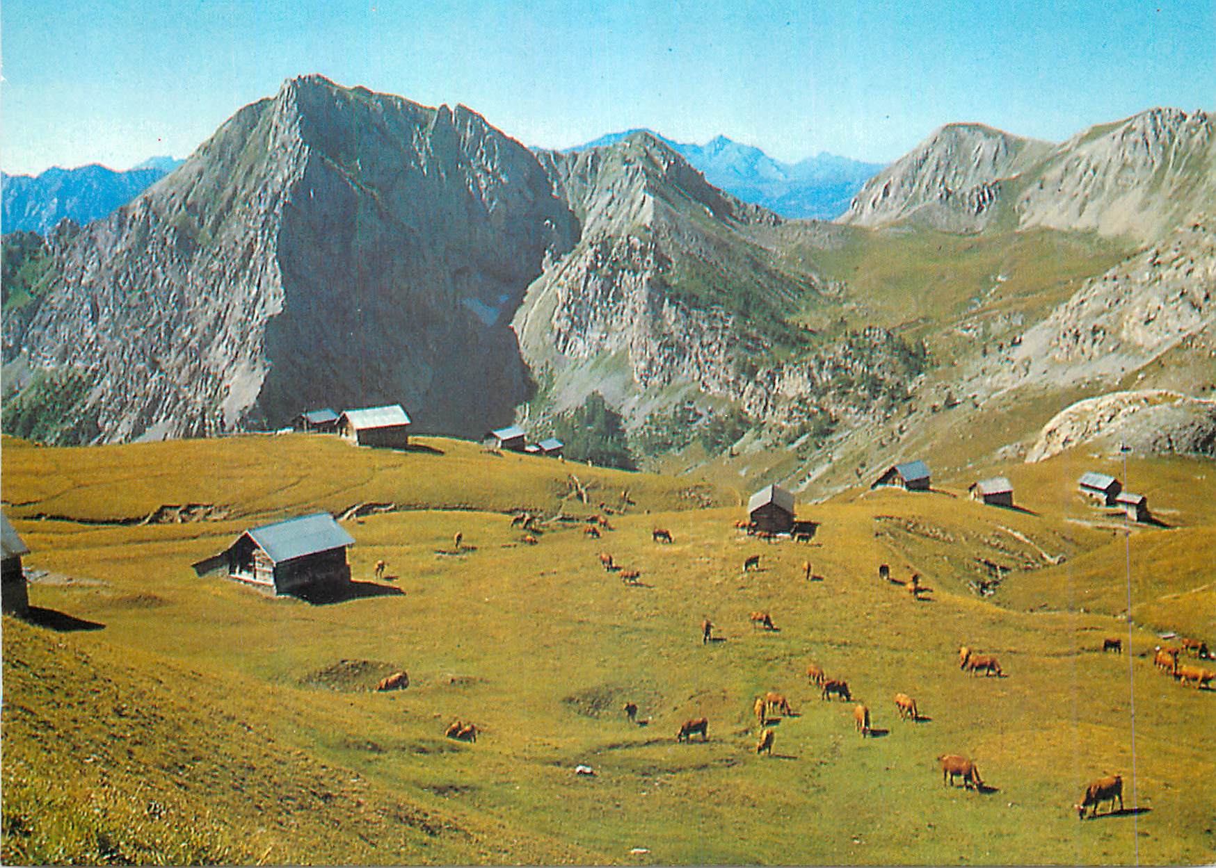 Paysage alpin avec troupeaux et cabanes — Éditeur non identifiable