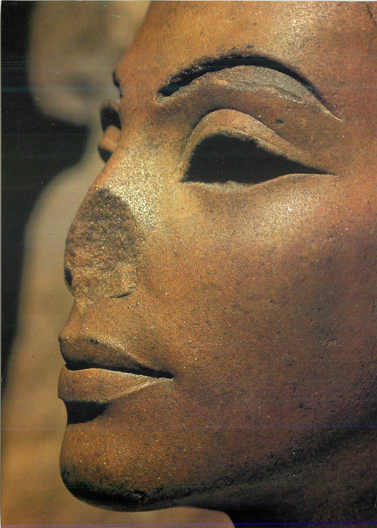 Visage de la reine Néfertiti — détail sculpté — éditeur non identifiable
