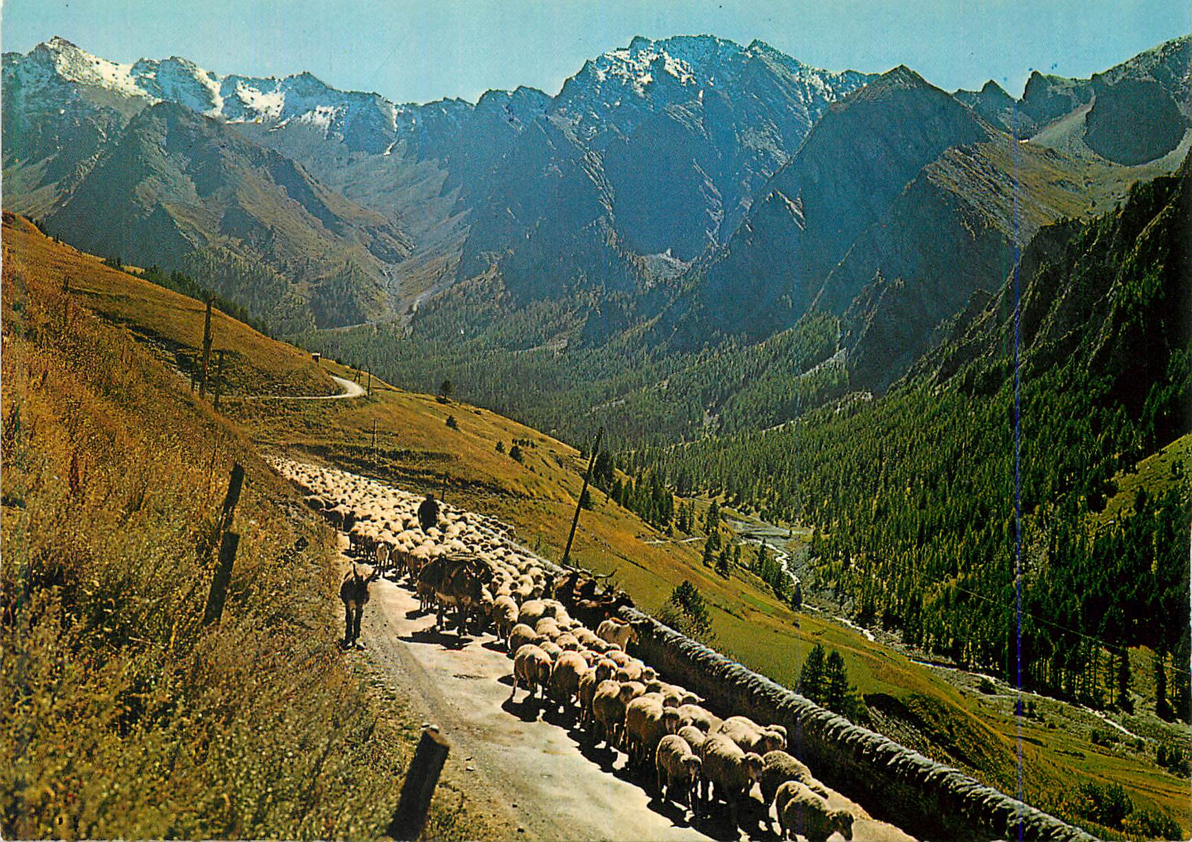 CPM Saint Veran Altitude 2040 m Transhumance Le Plus Haut Village Habite d'Europe