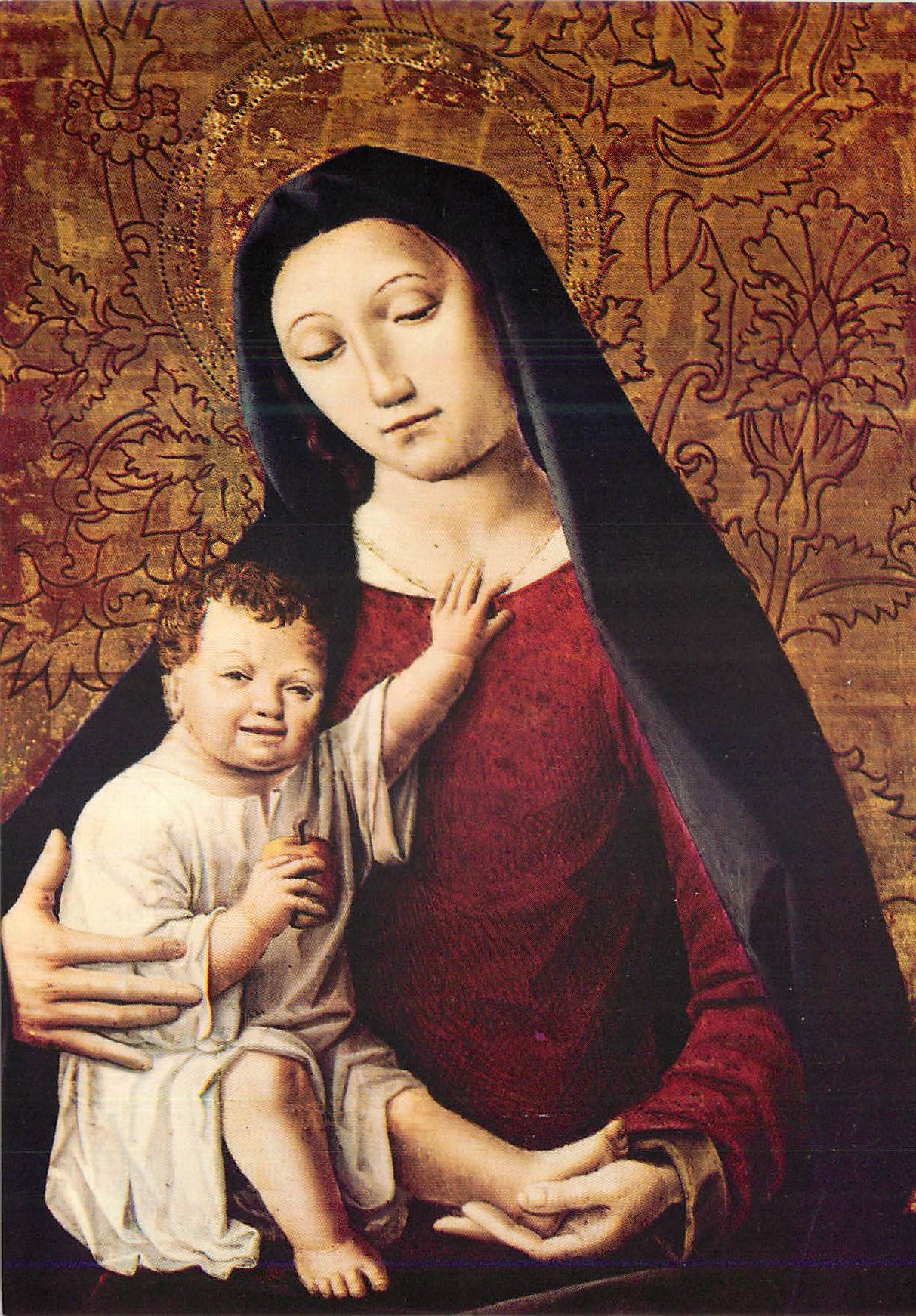 CPM Musee du Petit Palais Avignon (Vaucluse) Ecole d'Avignon vers 1490 la Vierge et l'Enfant