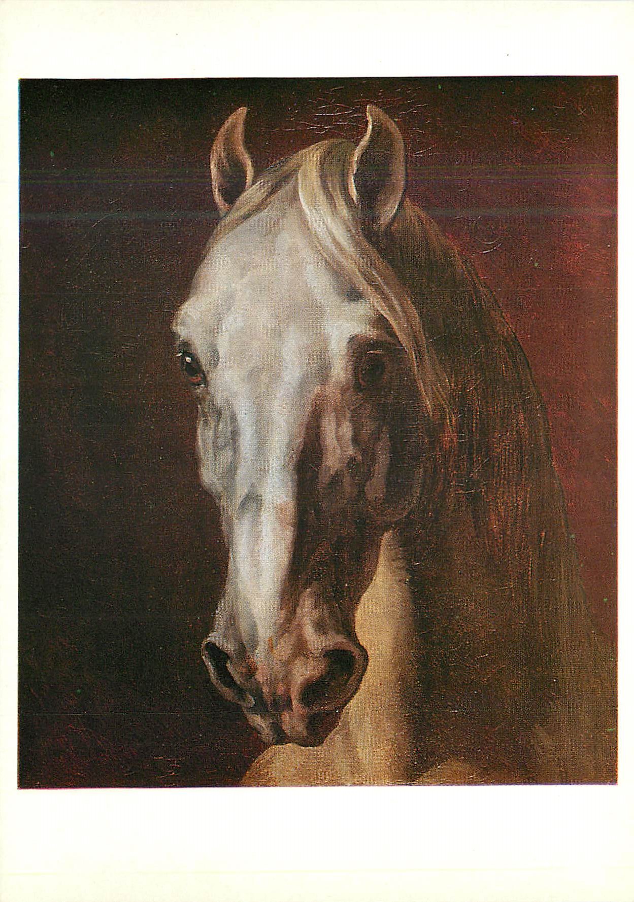 CPM Musee du Louvre Theodore Gericault (1791 1824) Tete de Cheval (1810 1812)